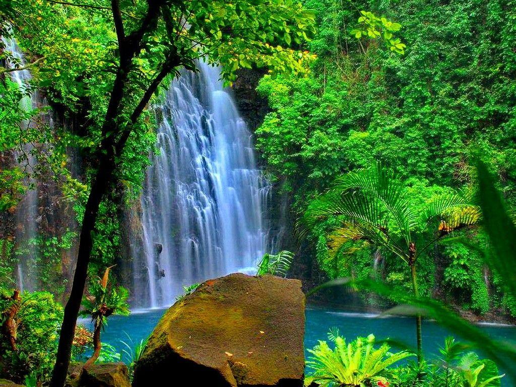 Hidden Wallpapers Wallpaper Cave