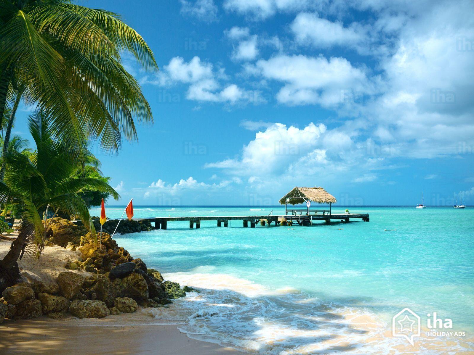 Trinidad And Tobago Wallpapers Wallpaper Cave