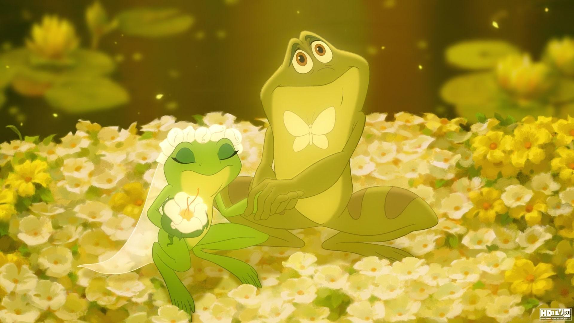 The Princess And The Frog Wallpapers Wallpaper Cave