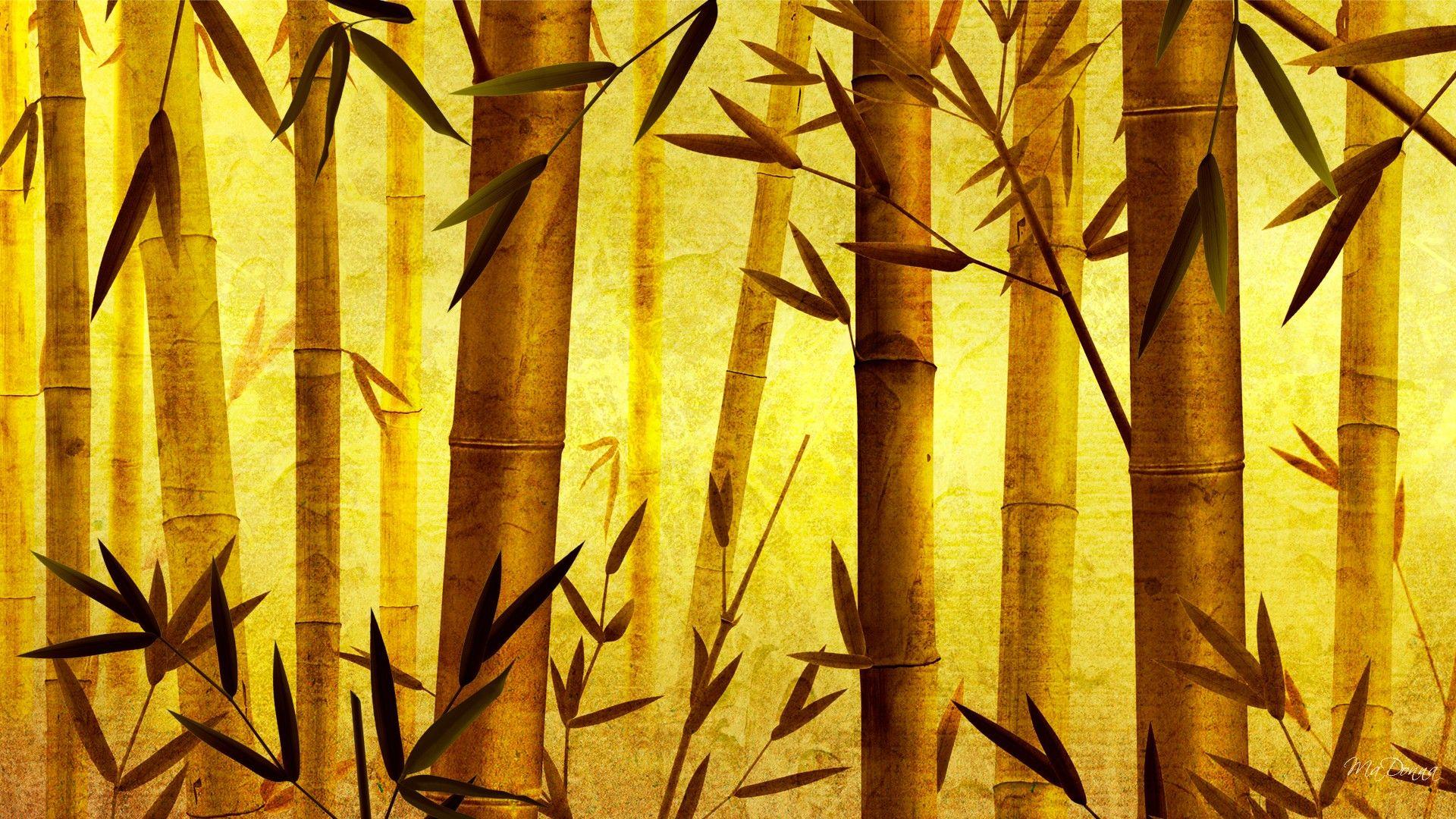 Bamboo Wallpapers Wallpaper Cave