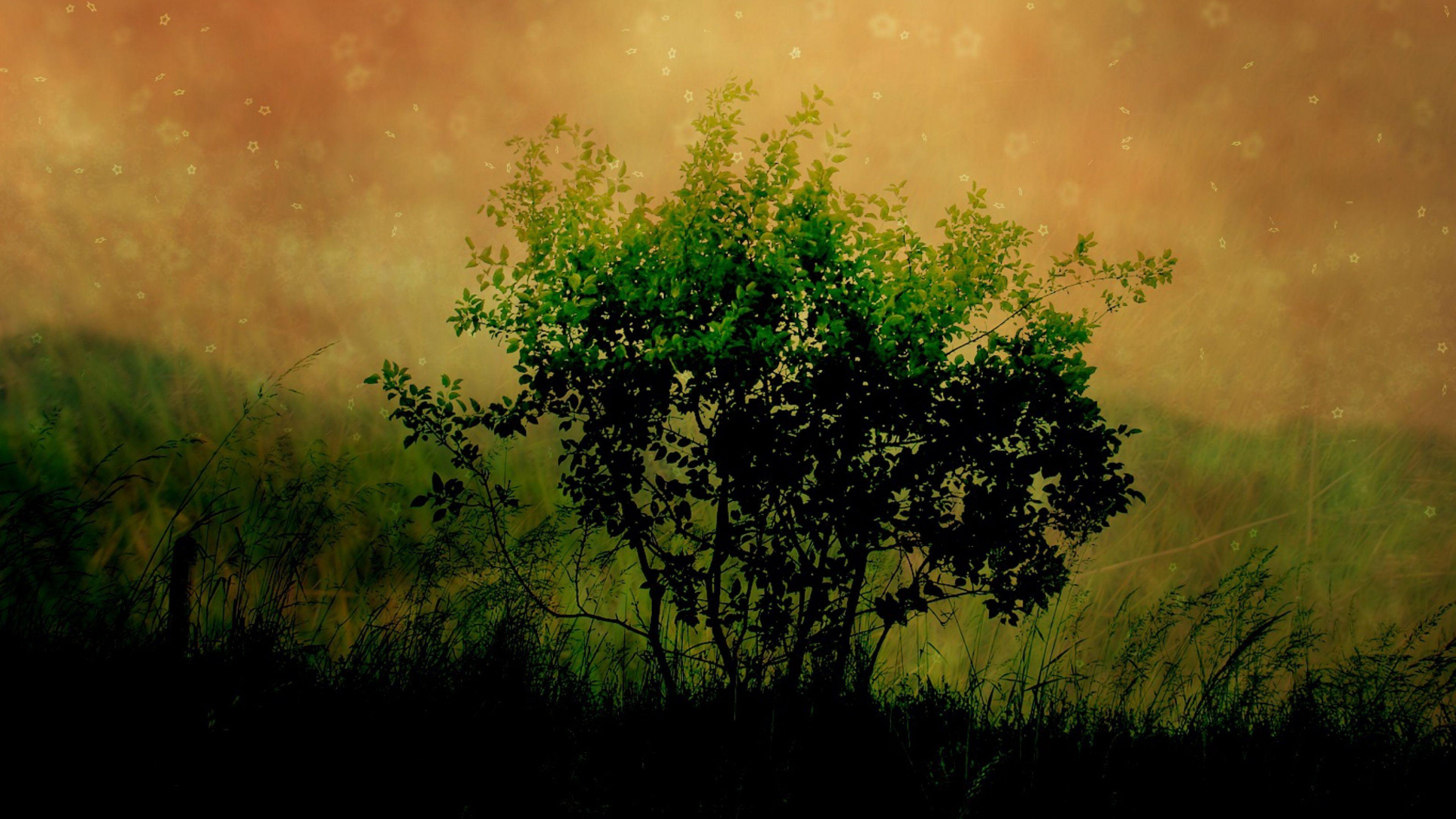 Shade Wallpapers Wallpaper Cave