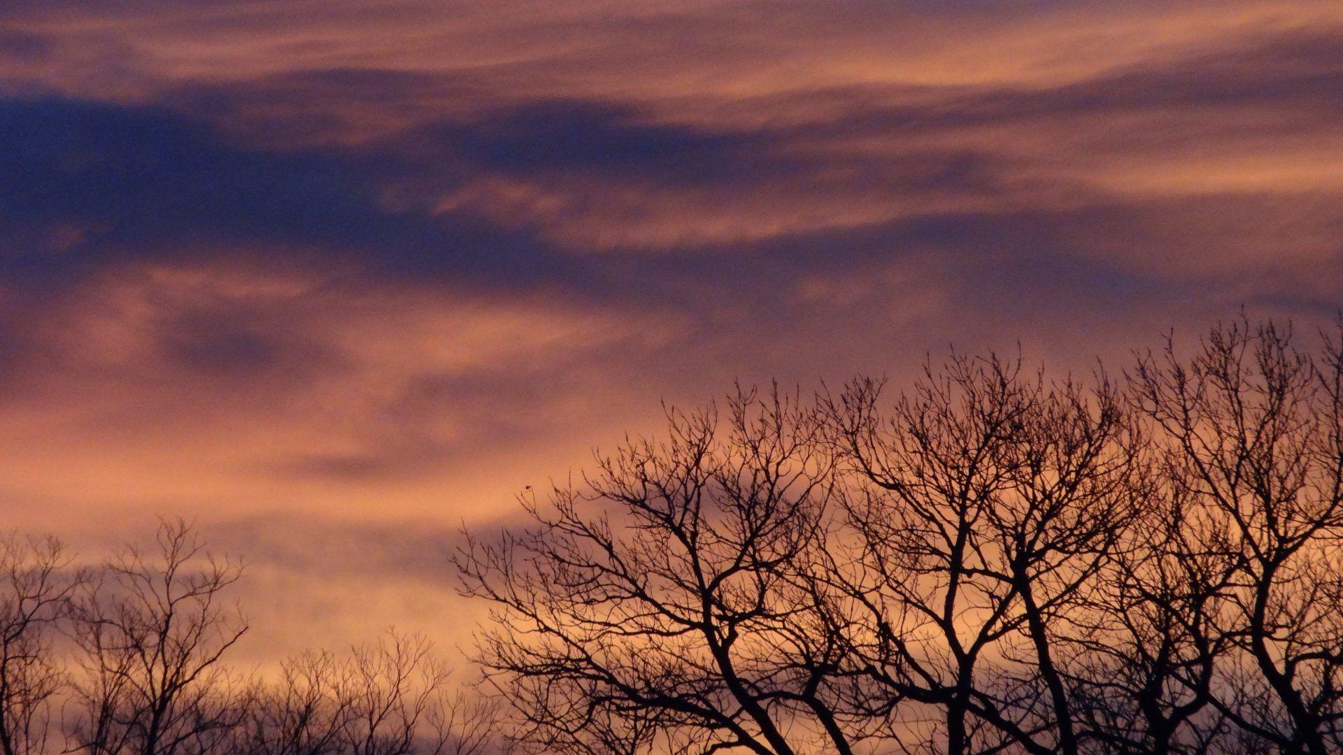 Shade Wallpapers Wallpaper Cave