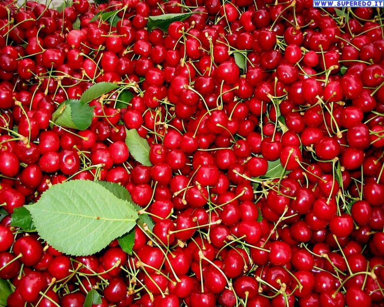Cherries Wallpapers Wallpaper Cave