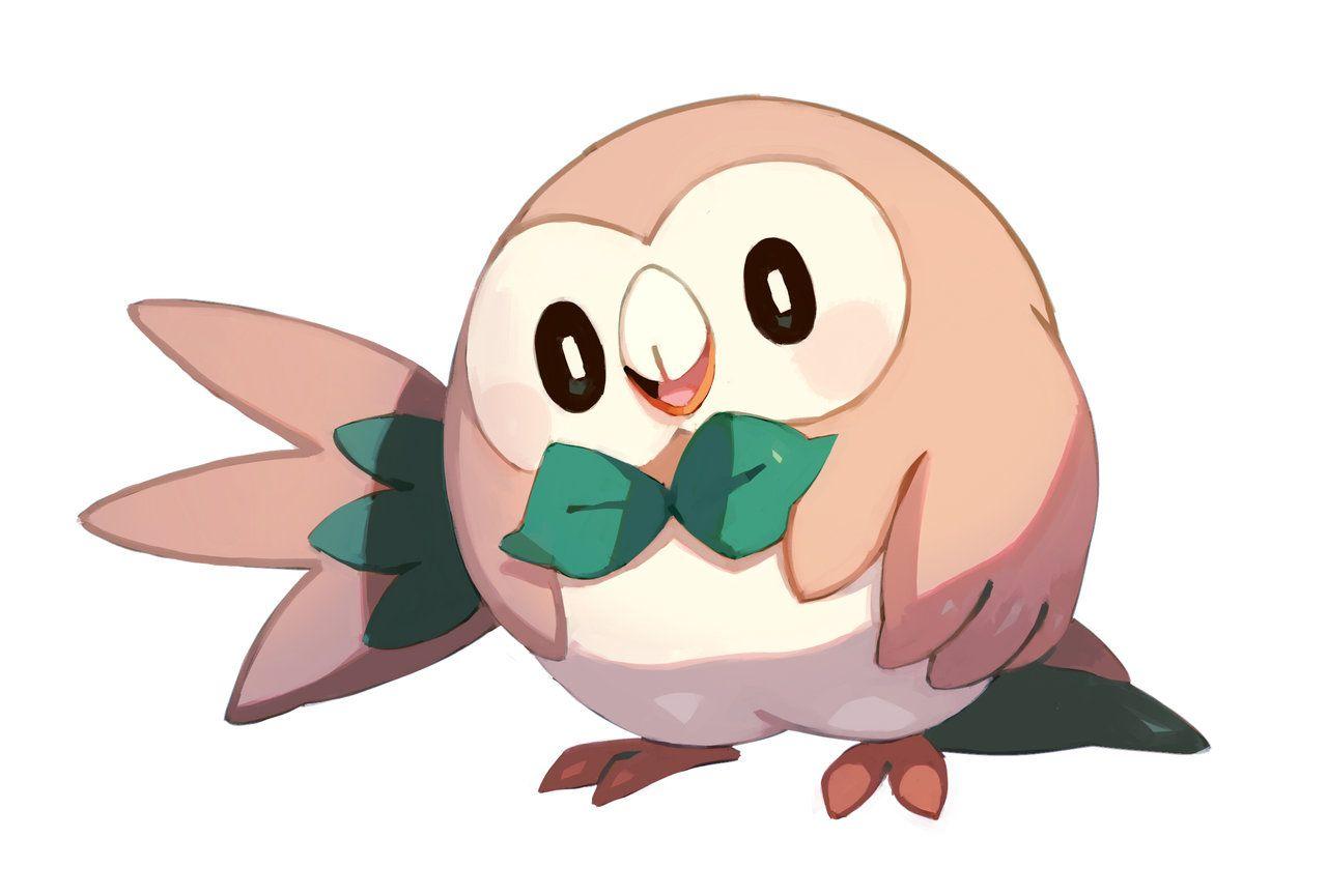 Rowlet Wallpapers Wallpaper Cave
