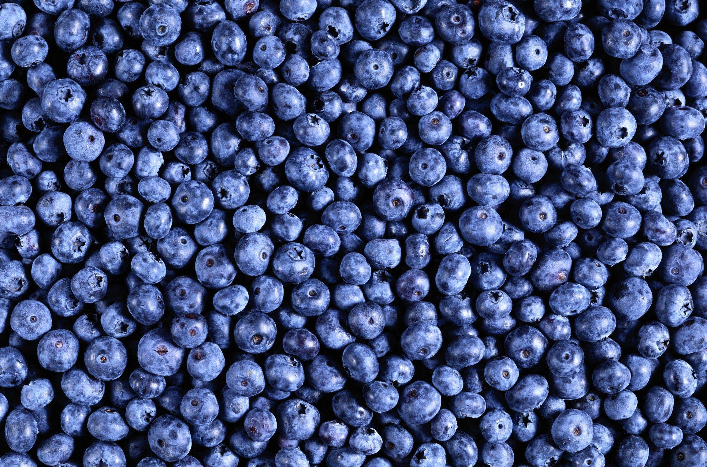 Blueberry Wallpapers Wallpaper Cave