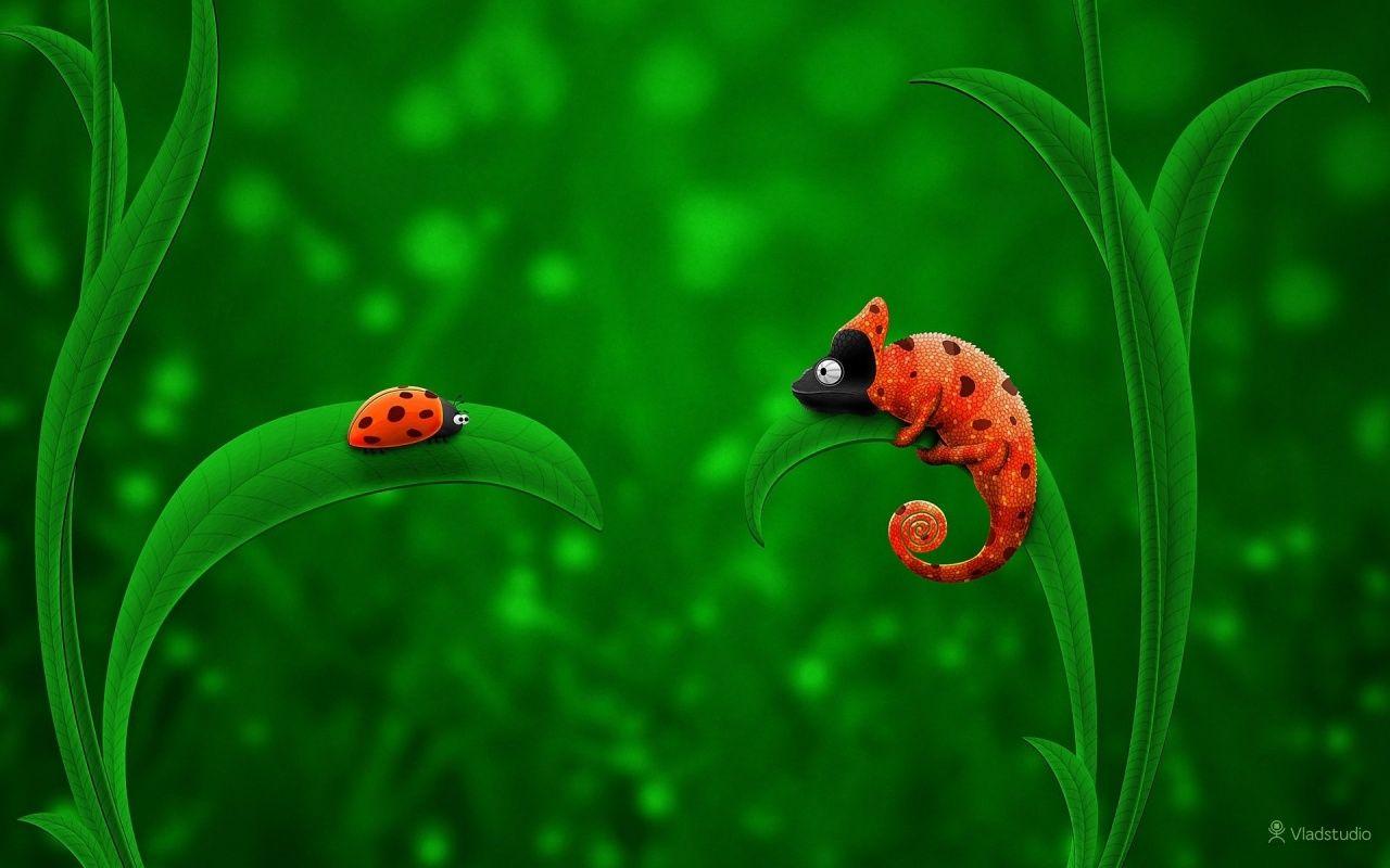 Ladybird Wallpapers Wallpaper Cave