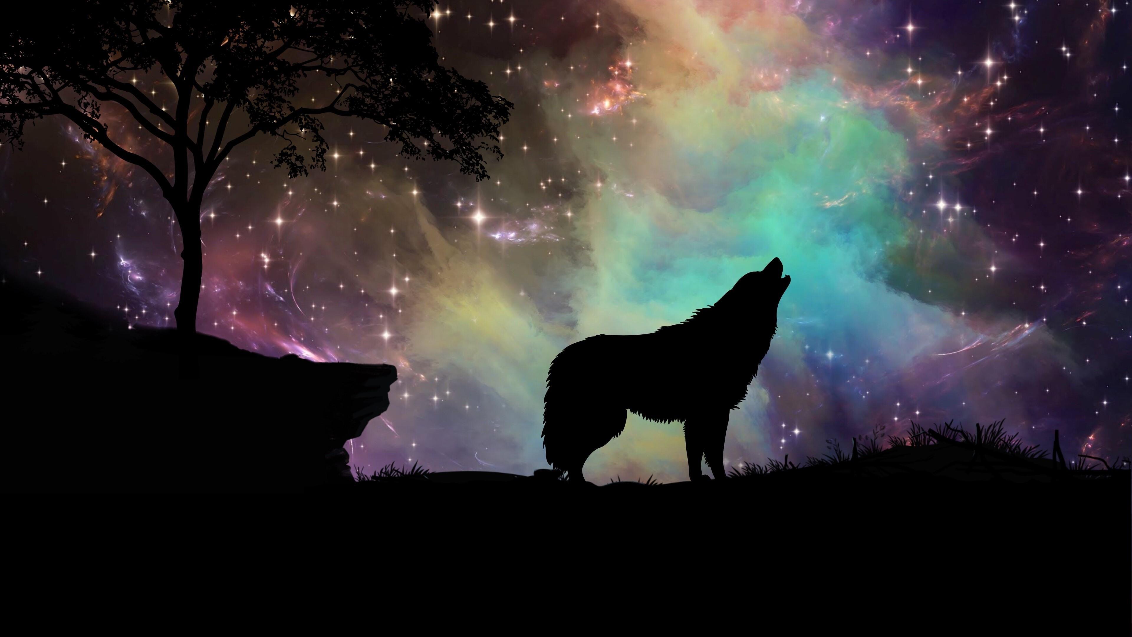 Wolf Art Wallpapers Wallpaper Cave