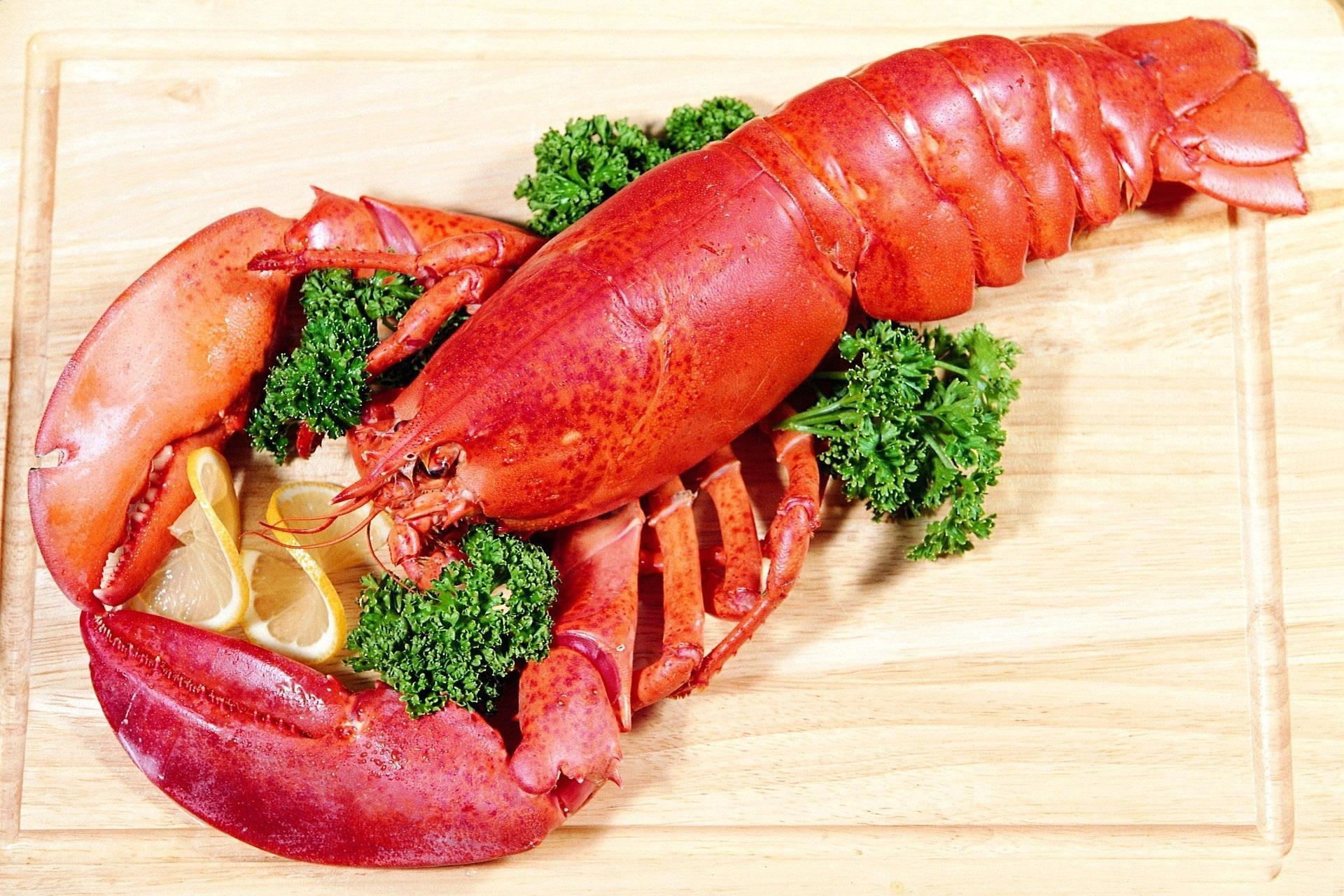 Lobster Wallpapers Wallpaper Cave