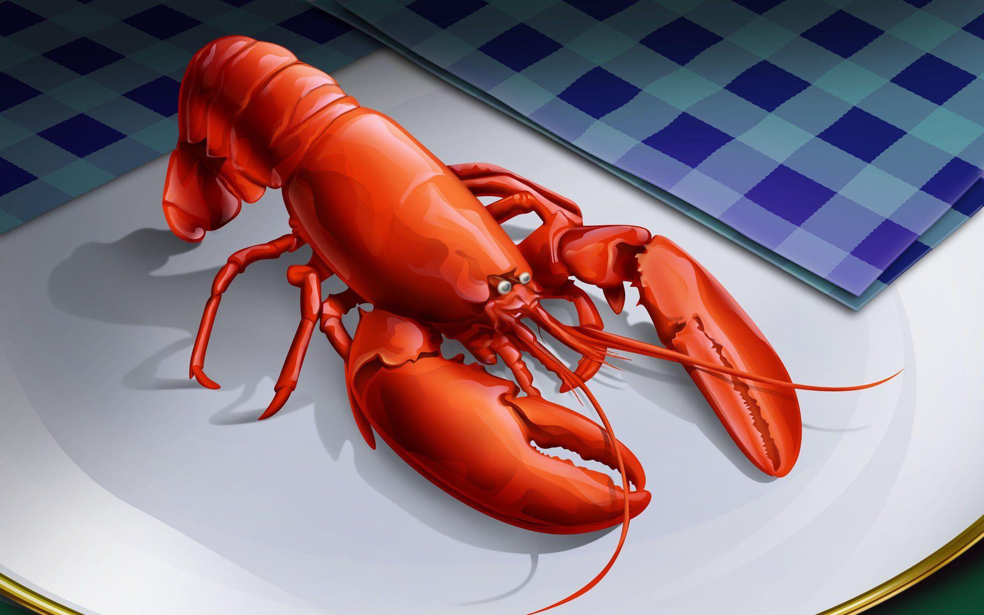 Lobster Wallpapers Wallpaper Cave