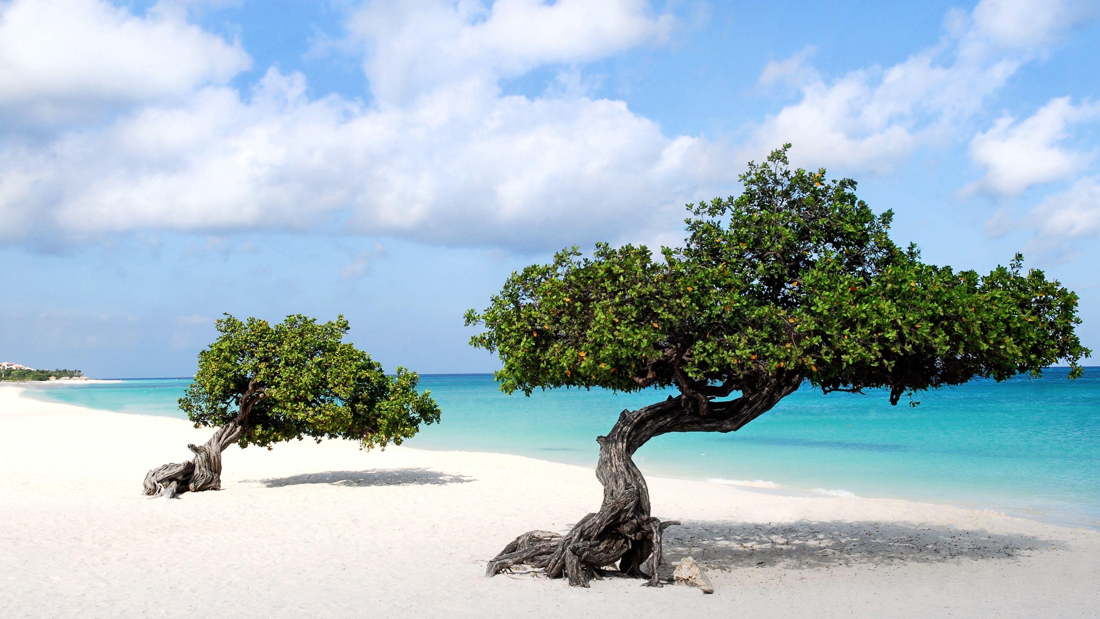 Aruba Wallpapers Wallpaper Cave