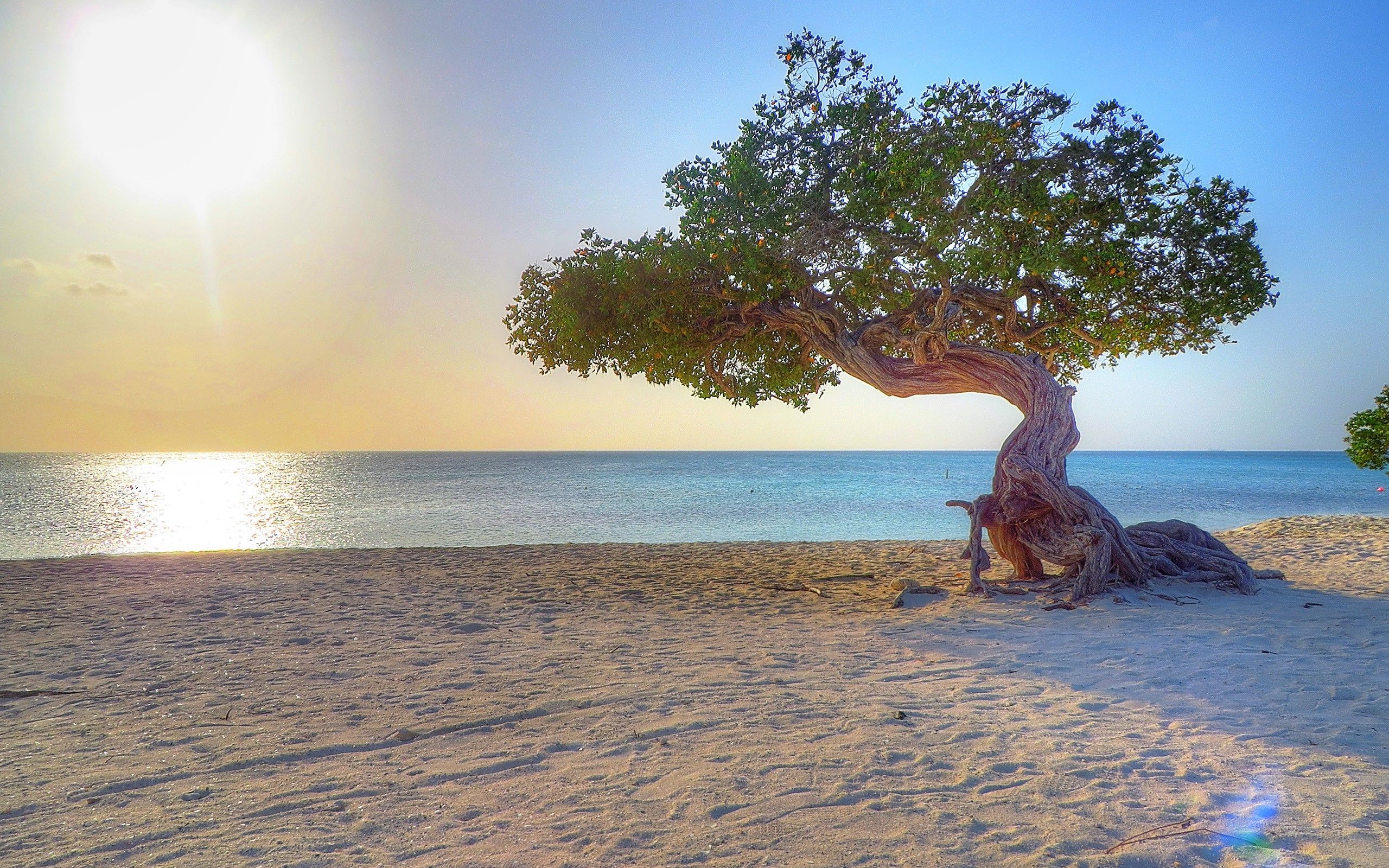 Aruba Wallpapers Wallpaper Cave