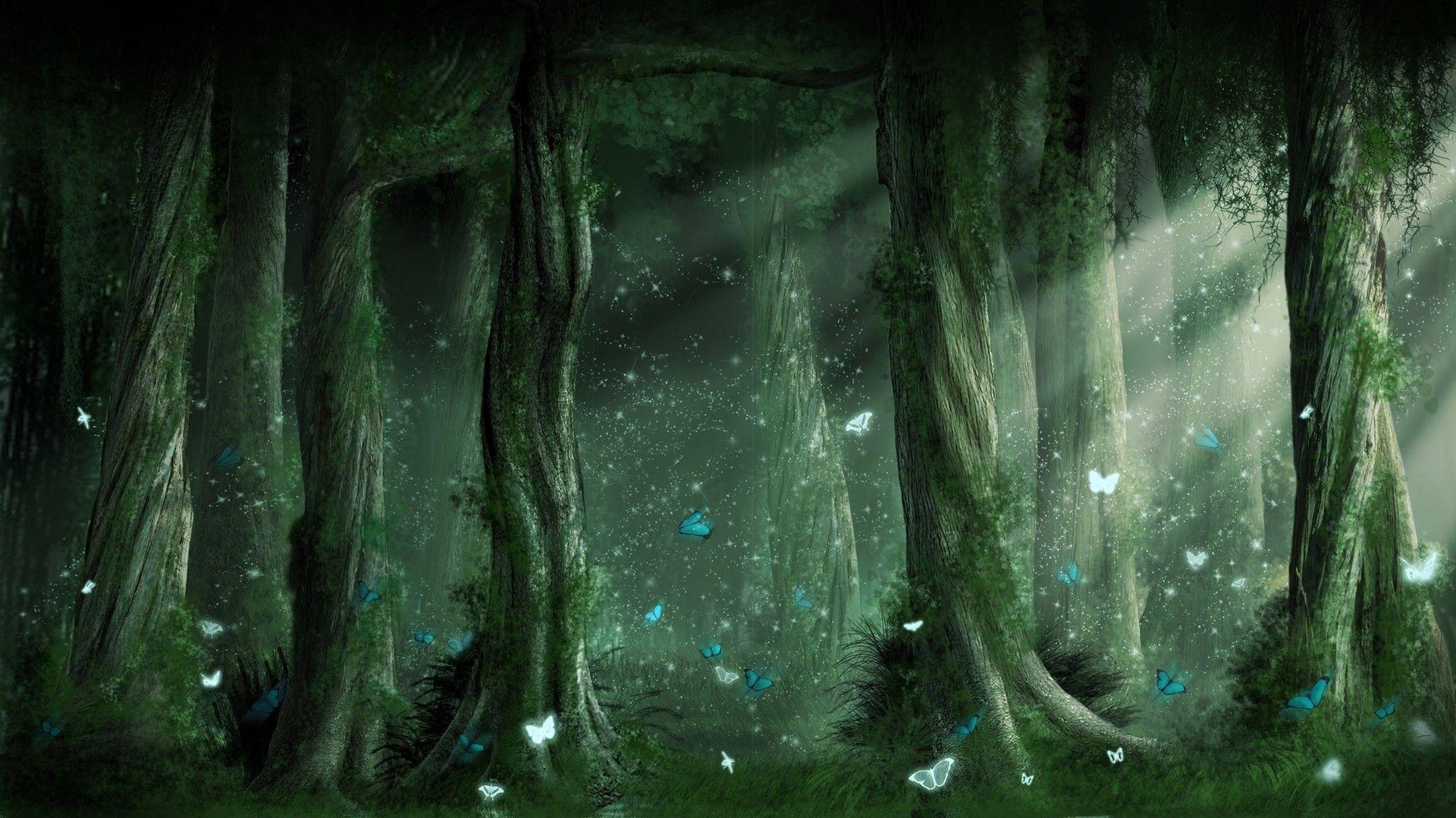 Magic Forest Wallpapers Wallpaper Cave