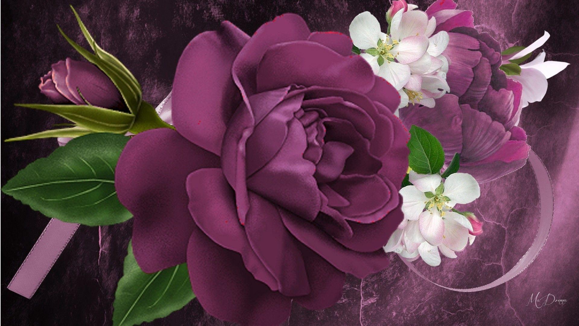 Feminine Wallpapers Wallpaper Cave