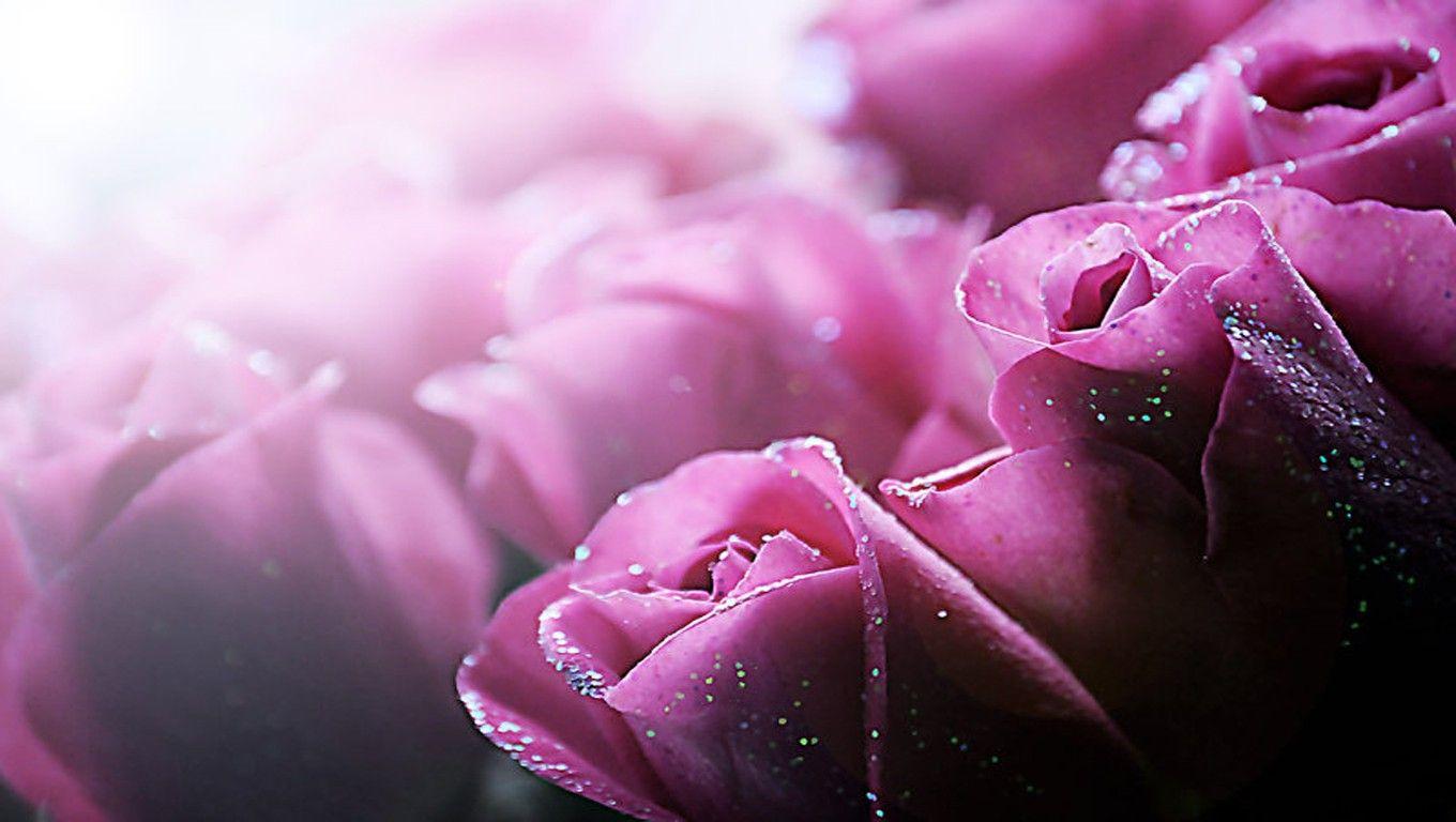 Feminine Wallpapers Wallpaper Cave