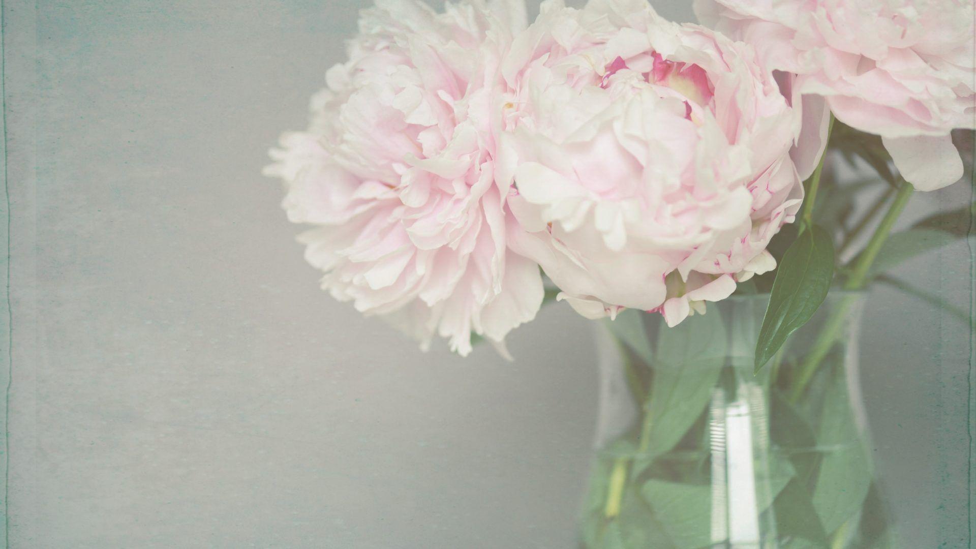 Feminine Wallpapers Wallpaper Cave