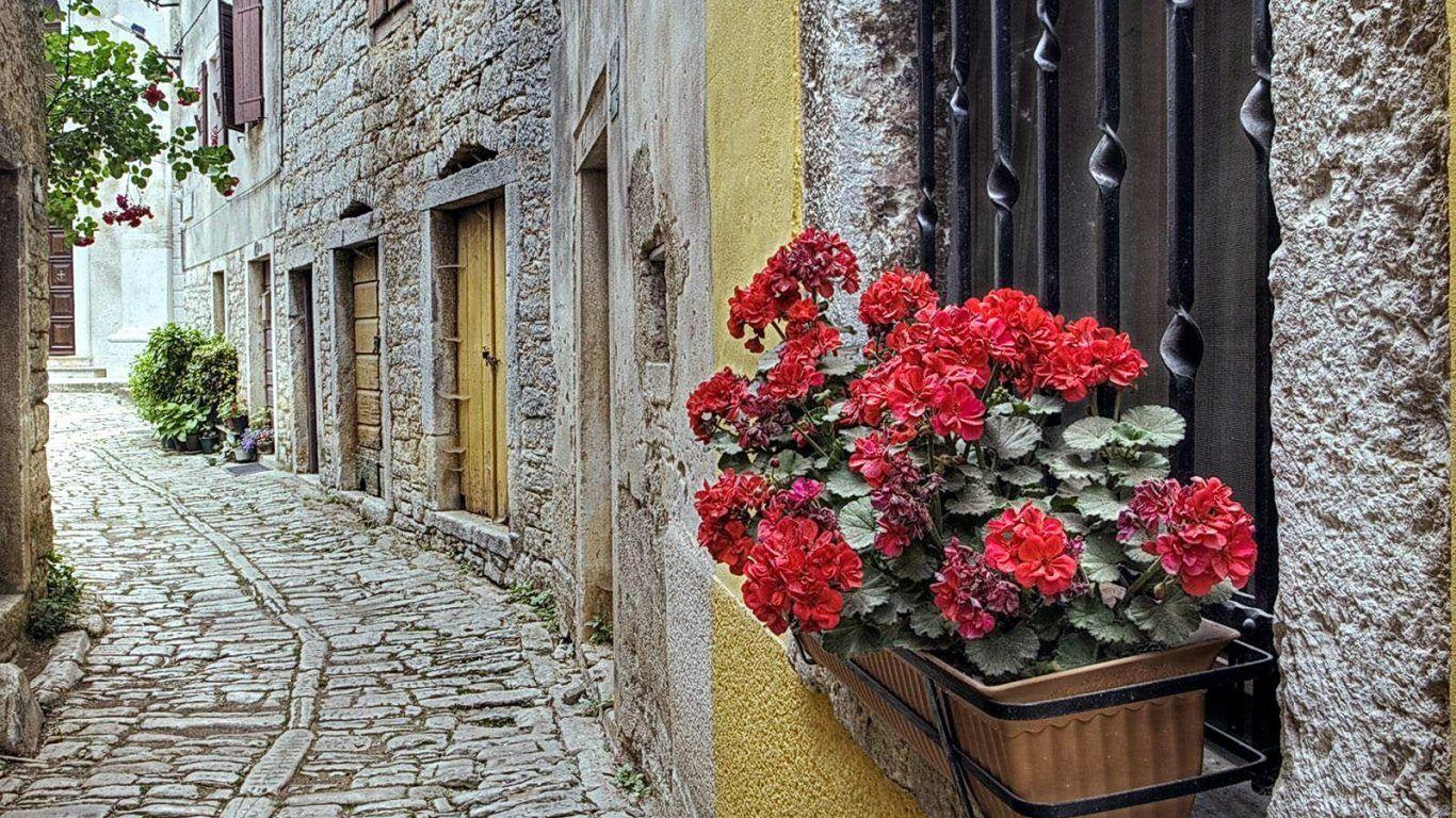 Nicosia Wallpapers Wallpaper Cave