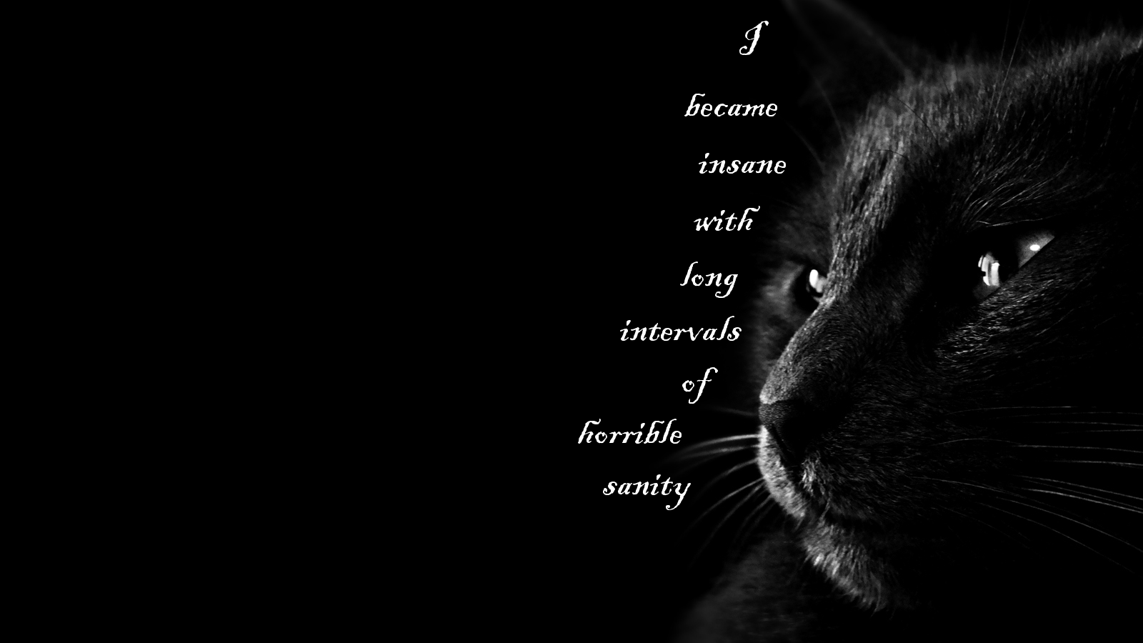 Edgar Allan Poe Wallpapers Wallpaper Cave