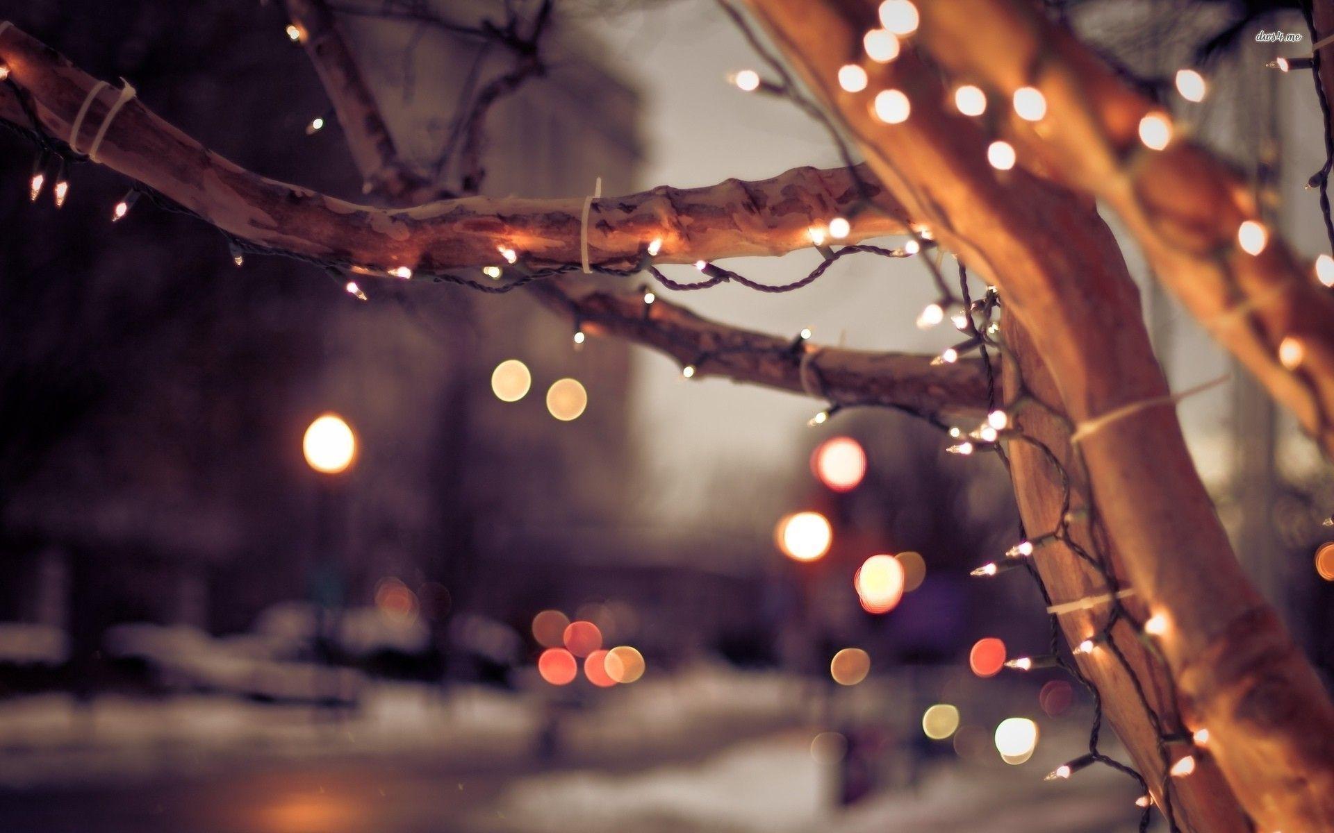 Fairy Lights Wallpapers Wallpaper Cave