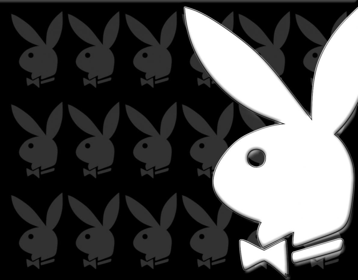 Playboy Bunny Logo Wallpapers Wallpaper Cave