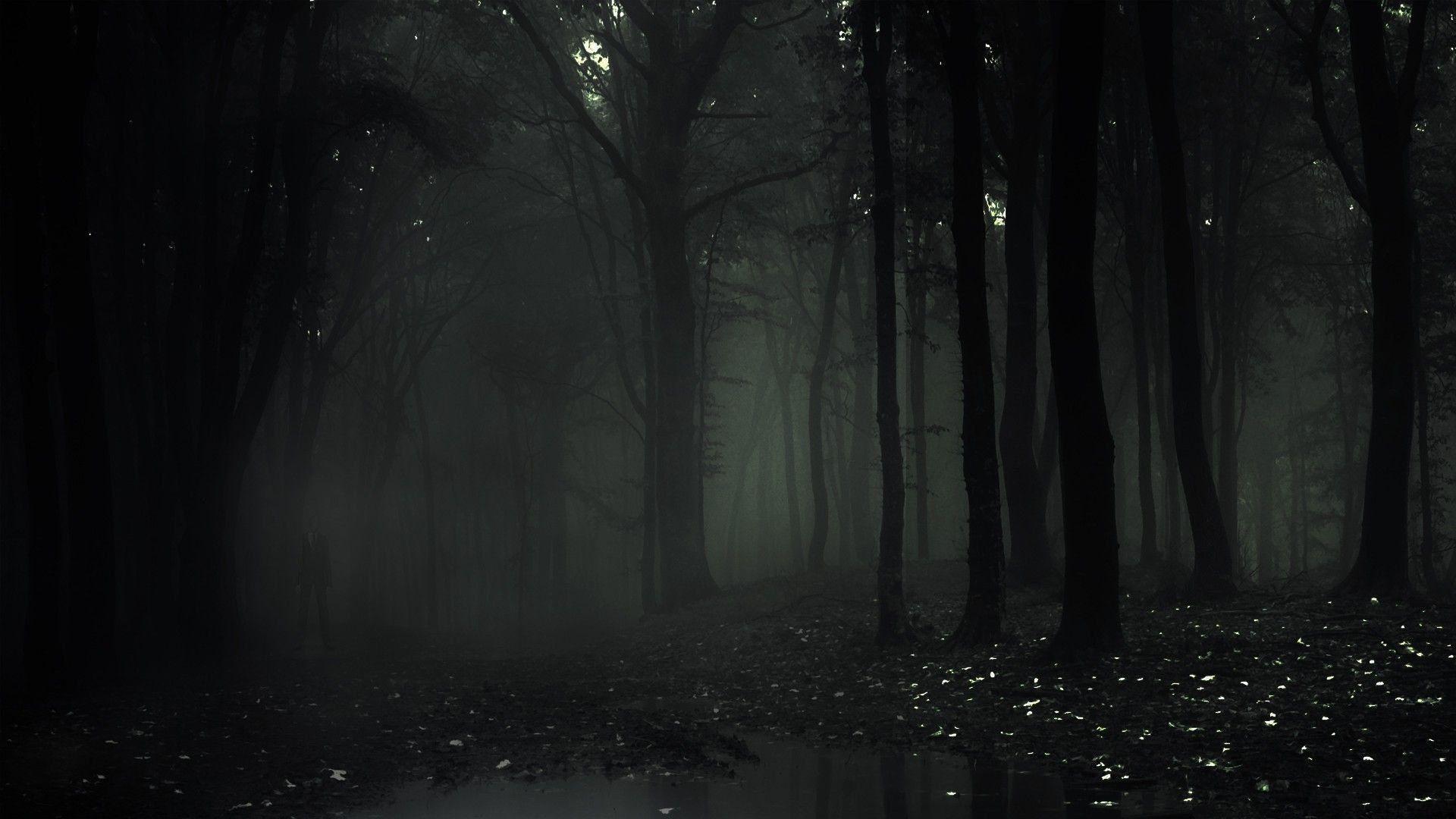 The Slender Man Wallpapers Wallpaper Cave