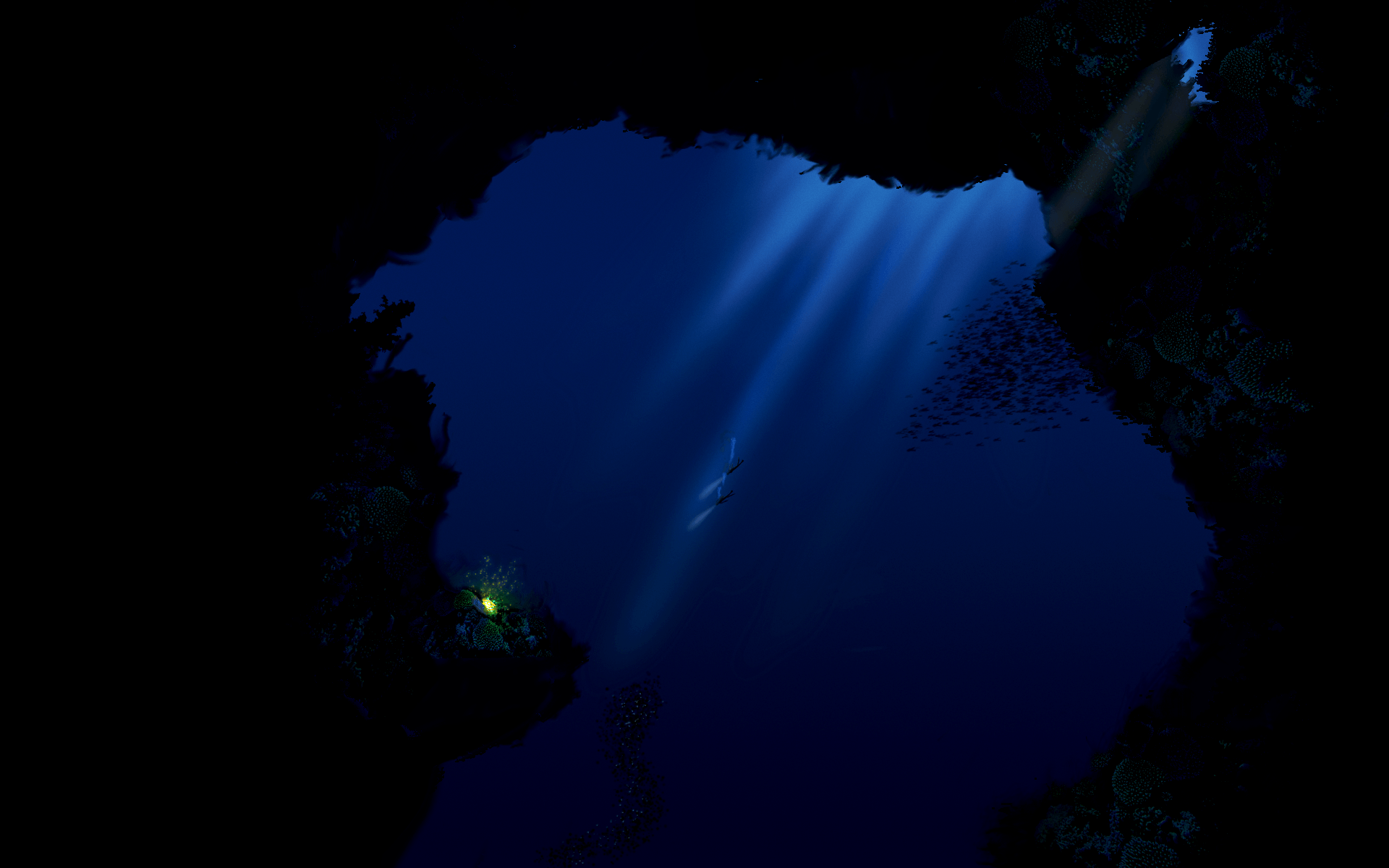 Deep Sea Diving Wallpapers Wallpaper Cave