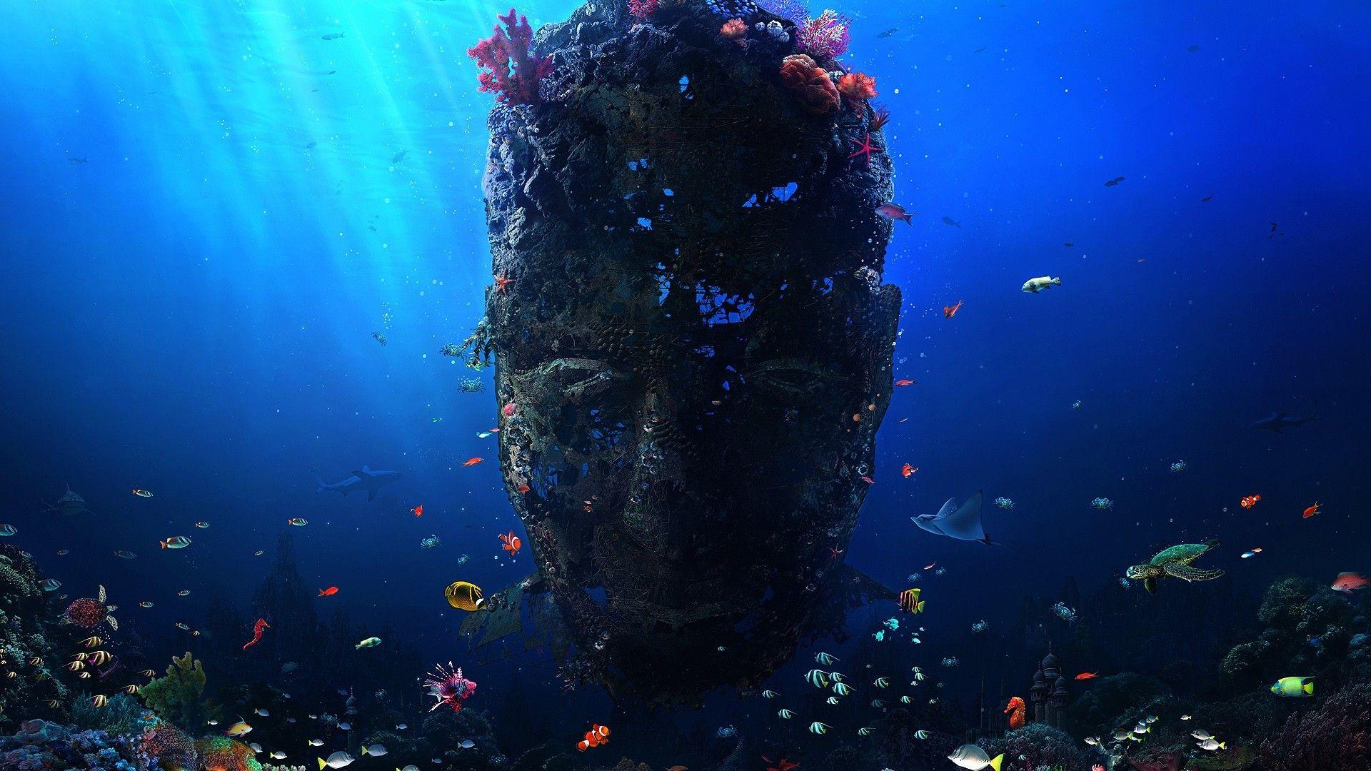 Deep Sea Diving Wallpapers Wallpaper Cave