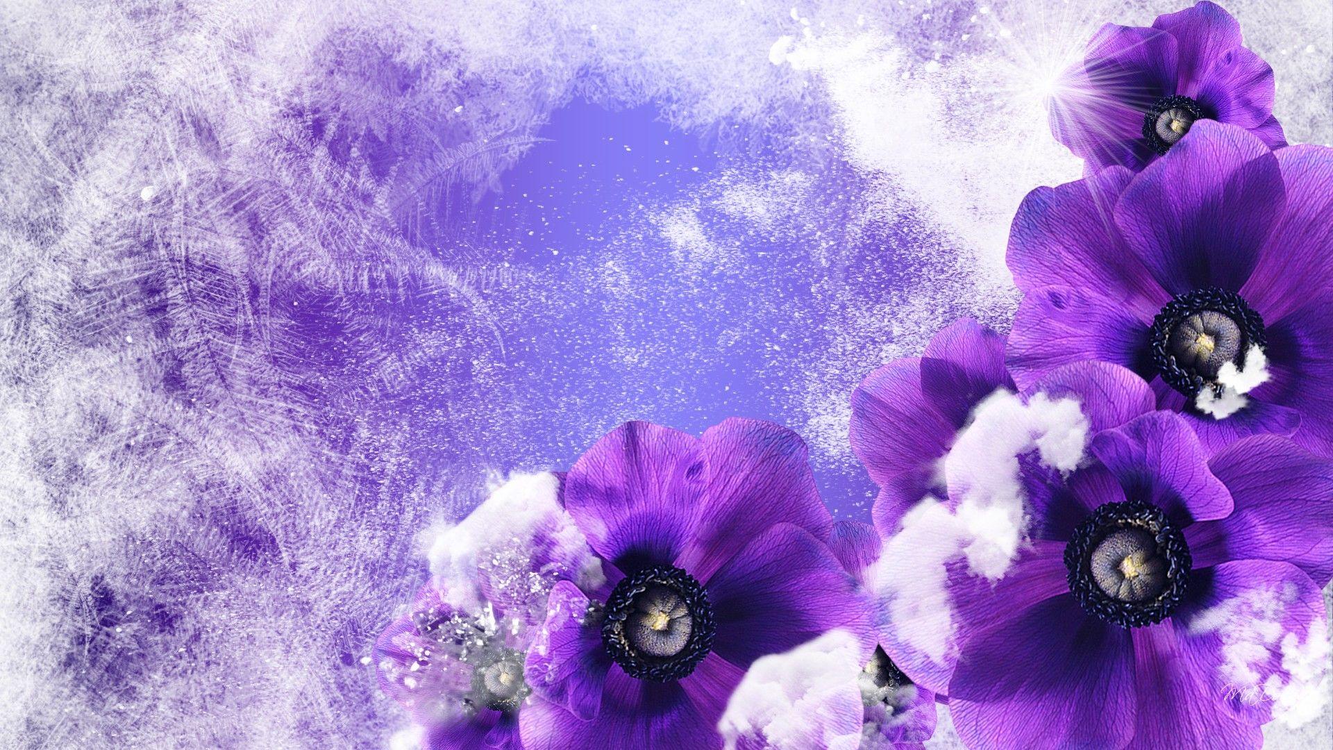 Winter Flowers Wallpapers Wallpaper Cave