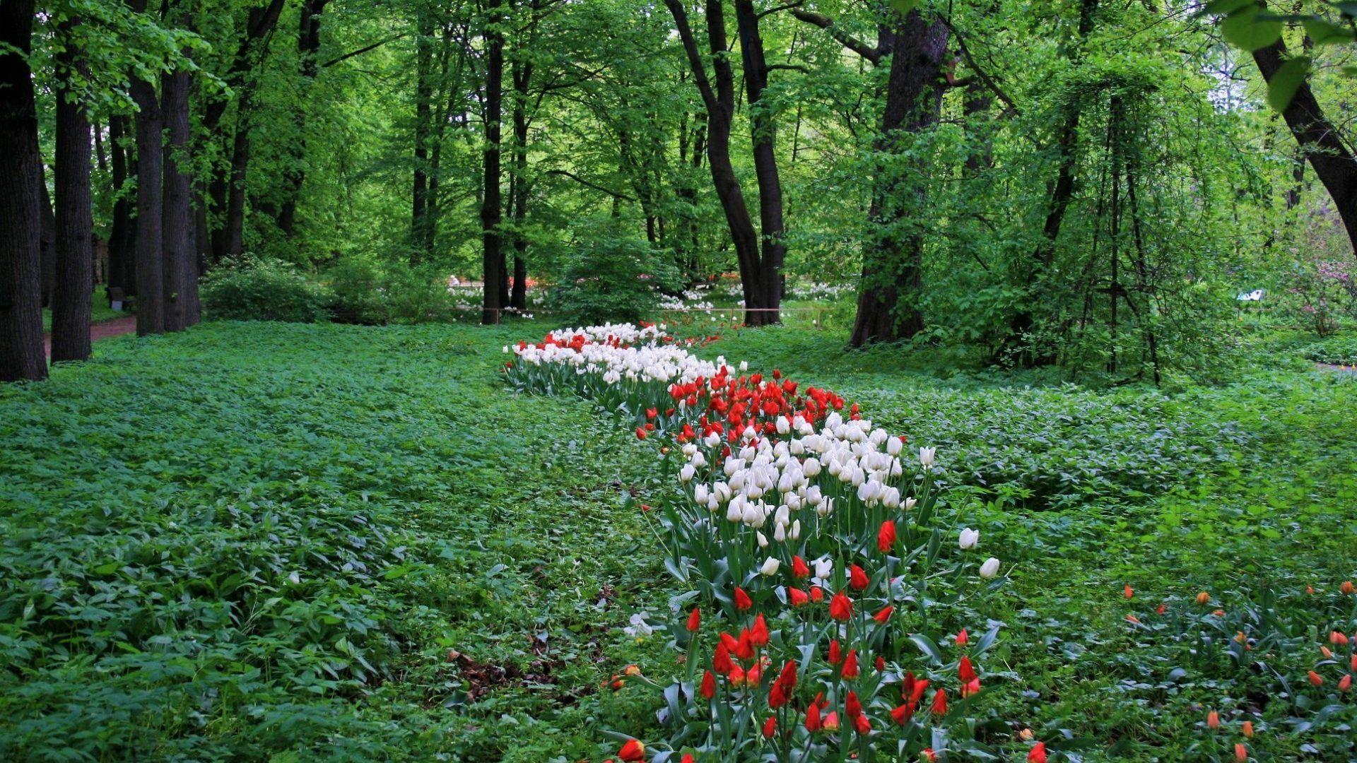 Botanical Wallpapers Wallpaper Cave