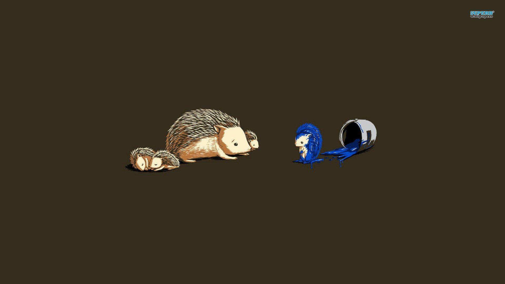 Hedgehogs Wallpapers Wallpaper Cave