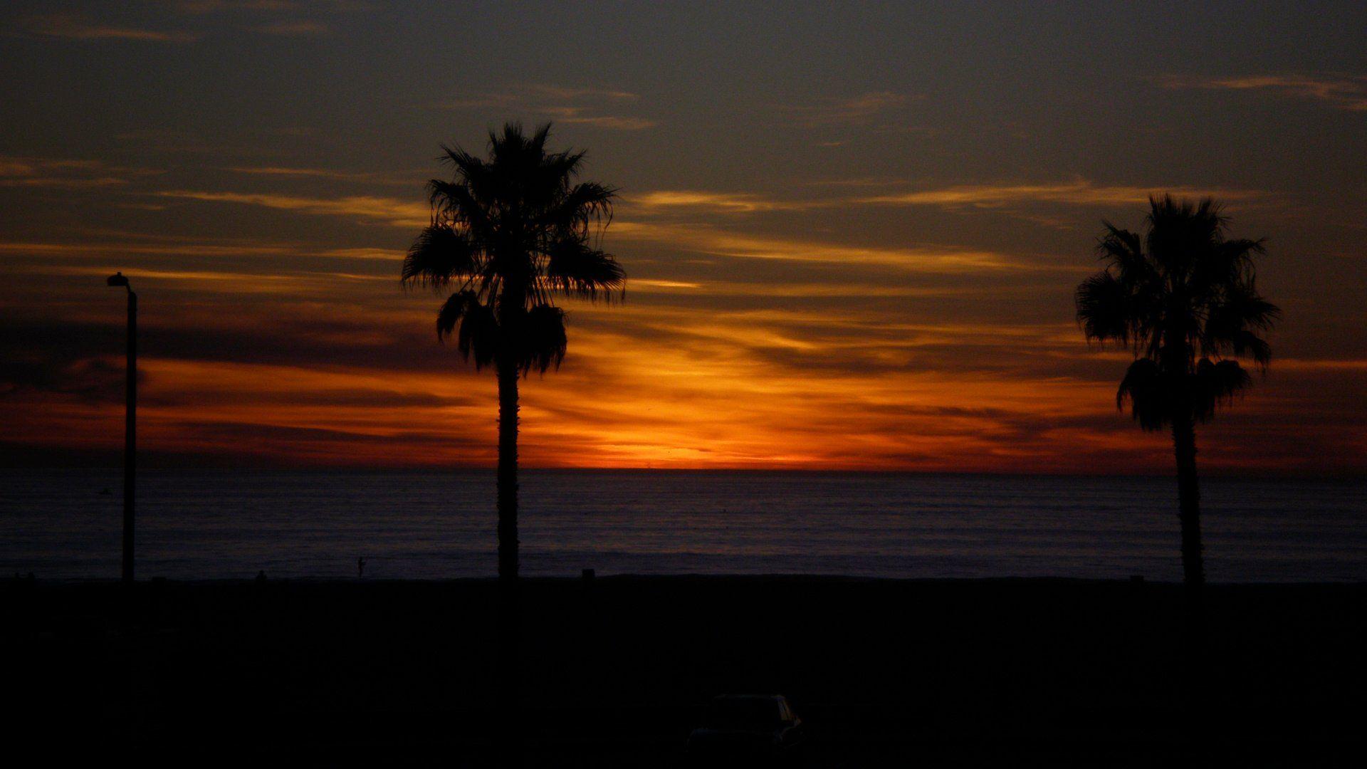 Venice Beach Wallpapers Wallpaper Cave