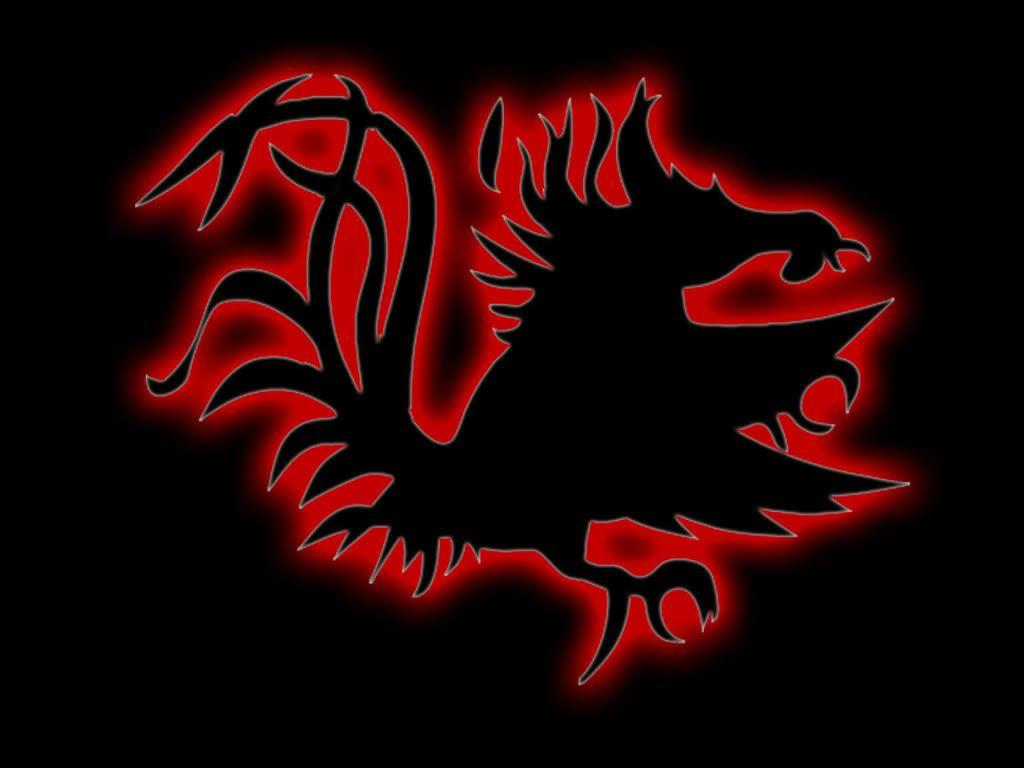 Carolina Gamecock Wallpapers Wallpaper Cave