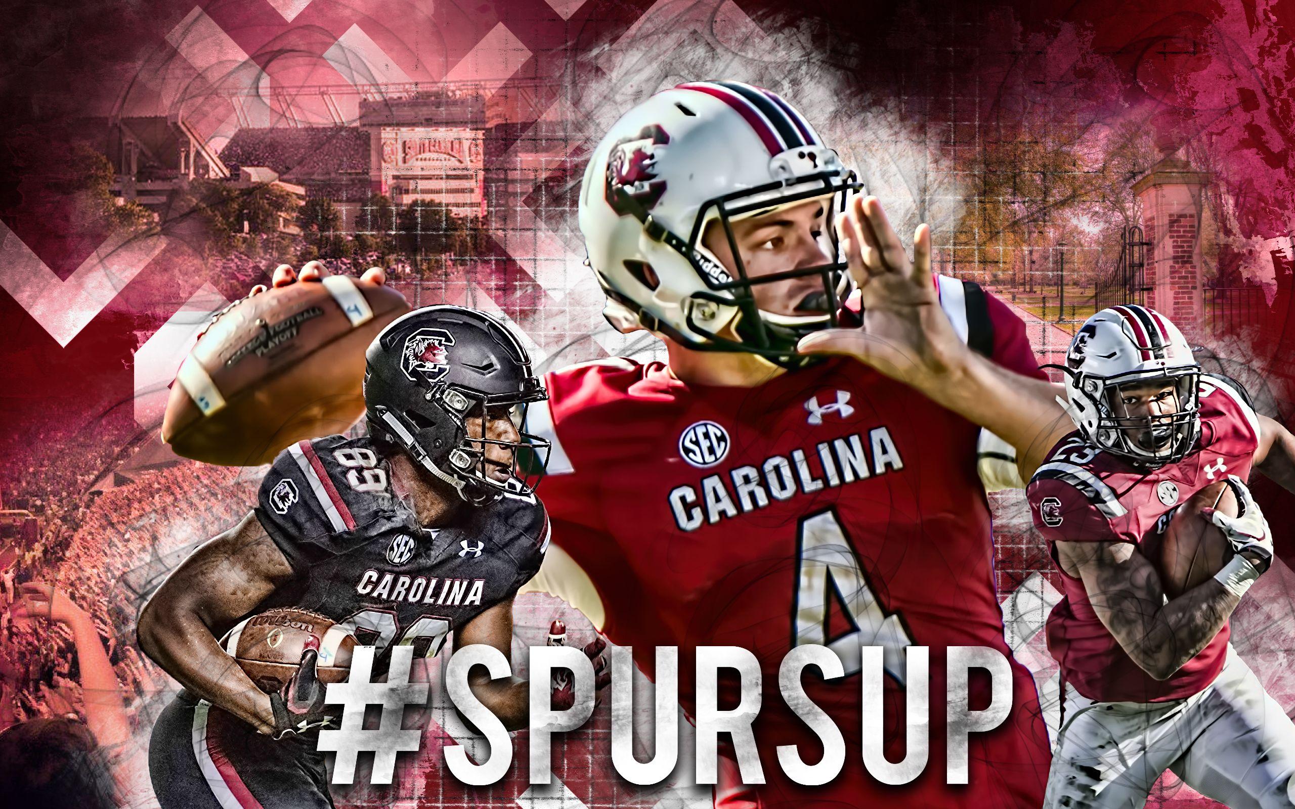 South Carolina Gamecocks Football Wallpapers Wallpaper Cave