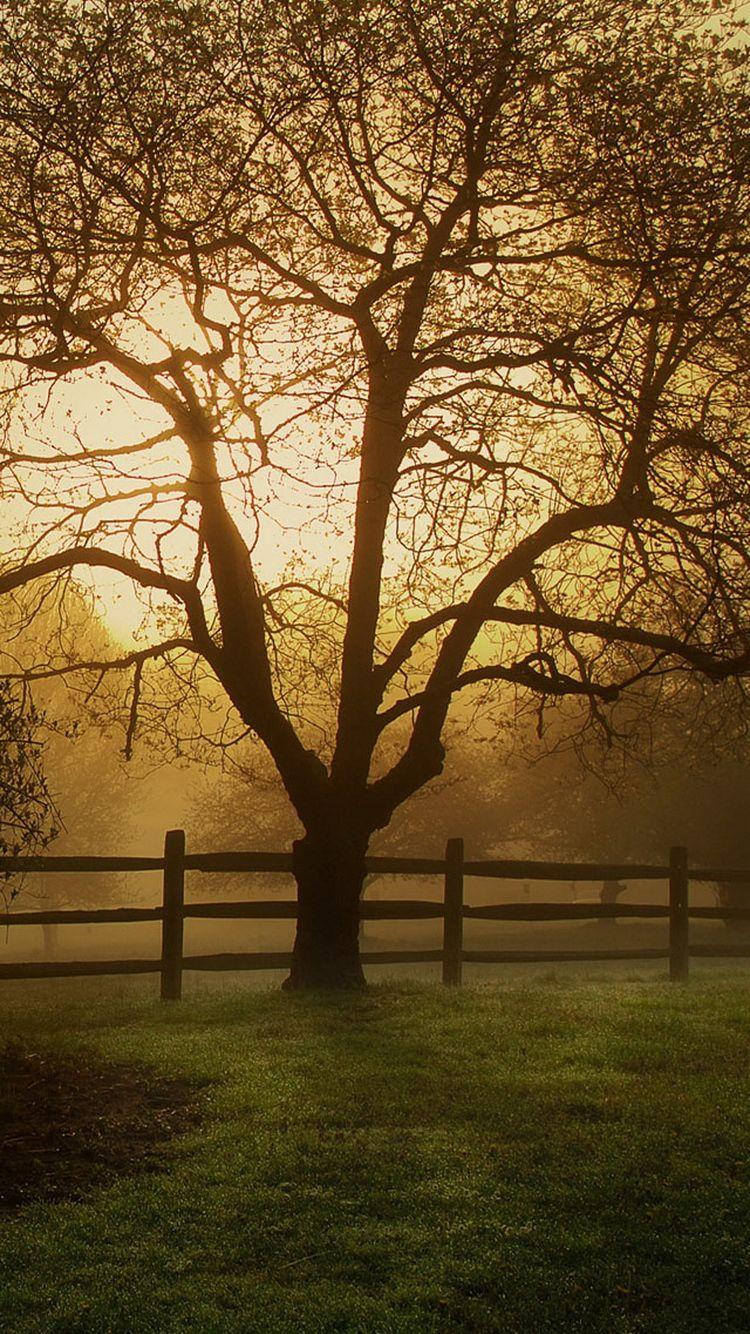 Farmhouse Wallpapers Wallpaper Cave