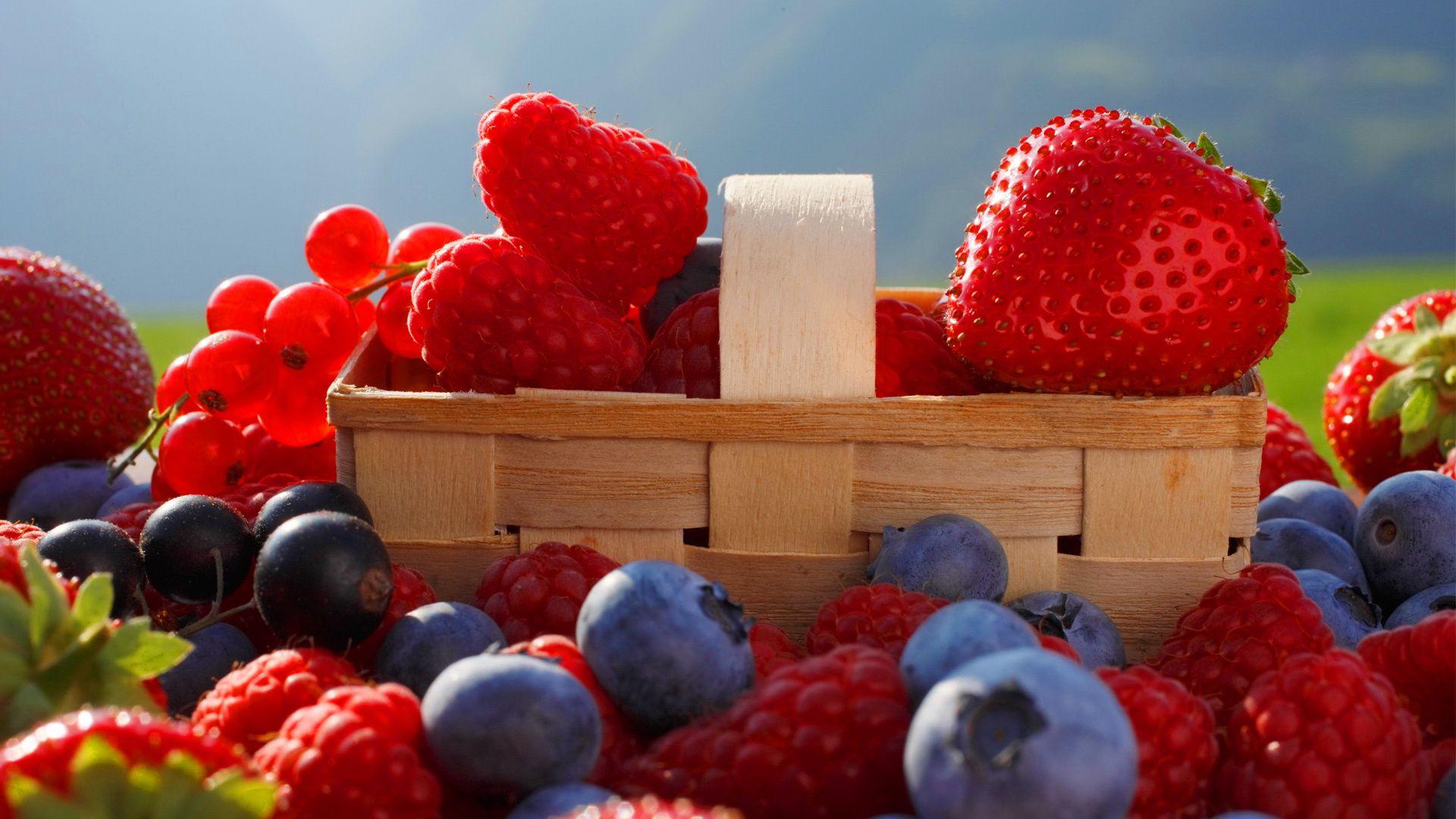 Berries Wallpapers Wallpaper Cave