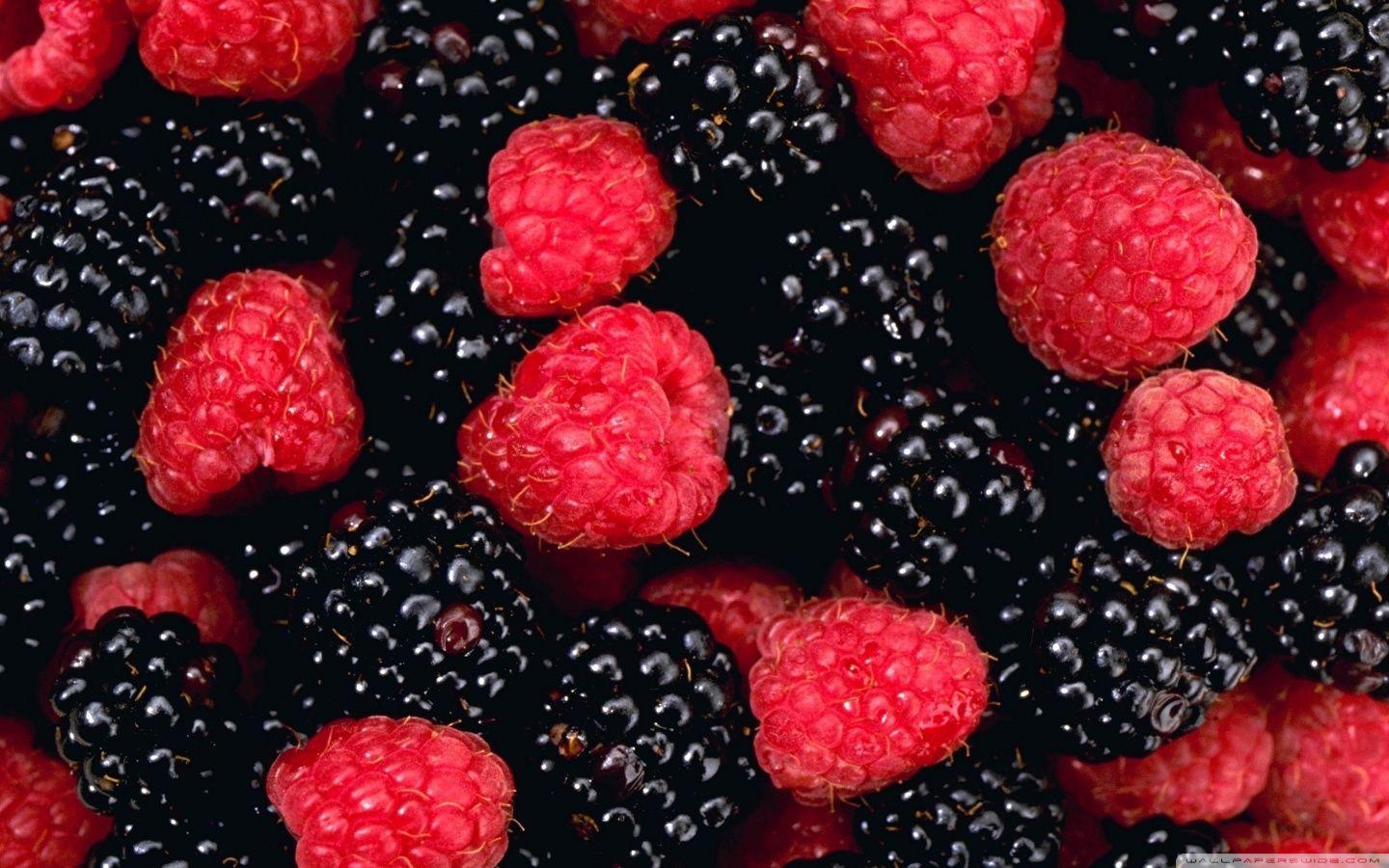 Berries Wallpapers Wallpaper Cave