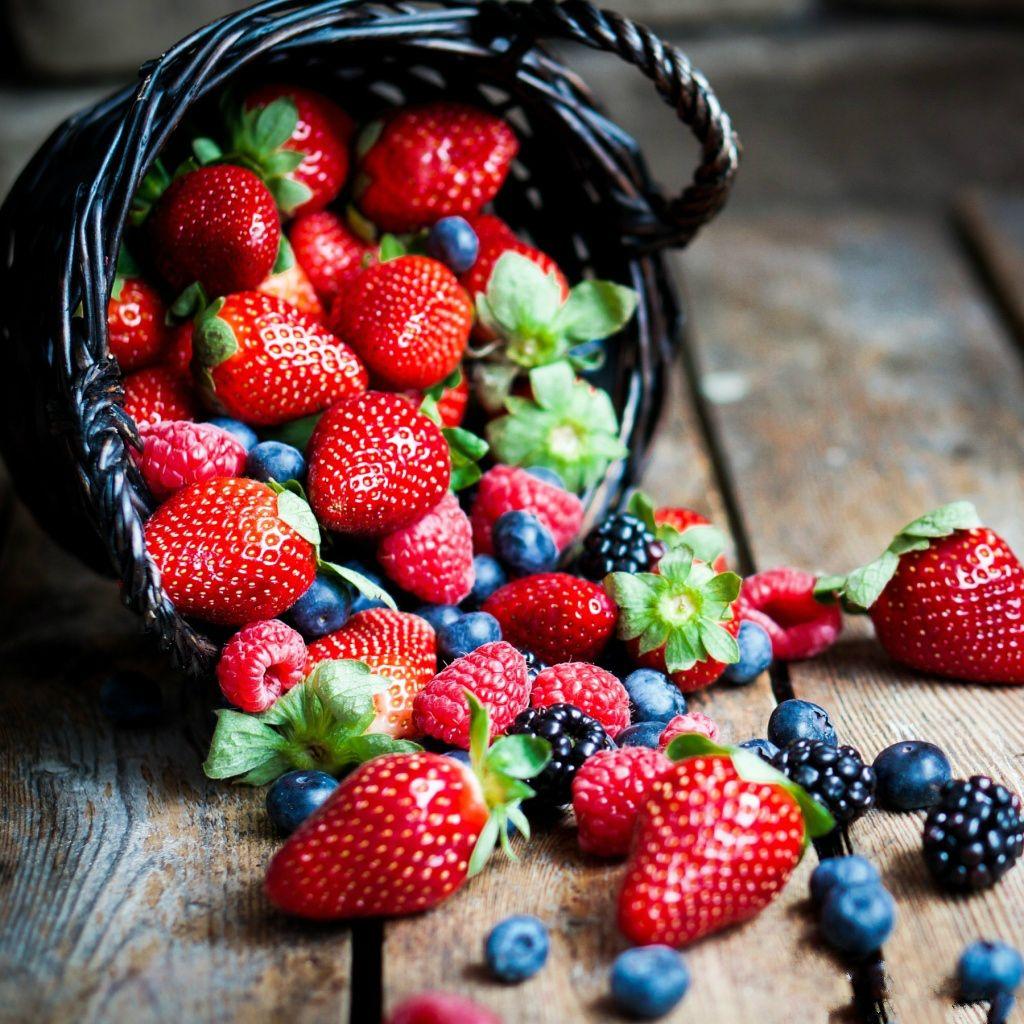 Berries Wallpapers Wallpaper Cave