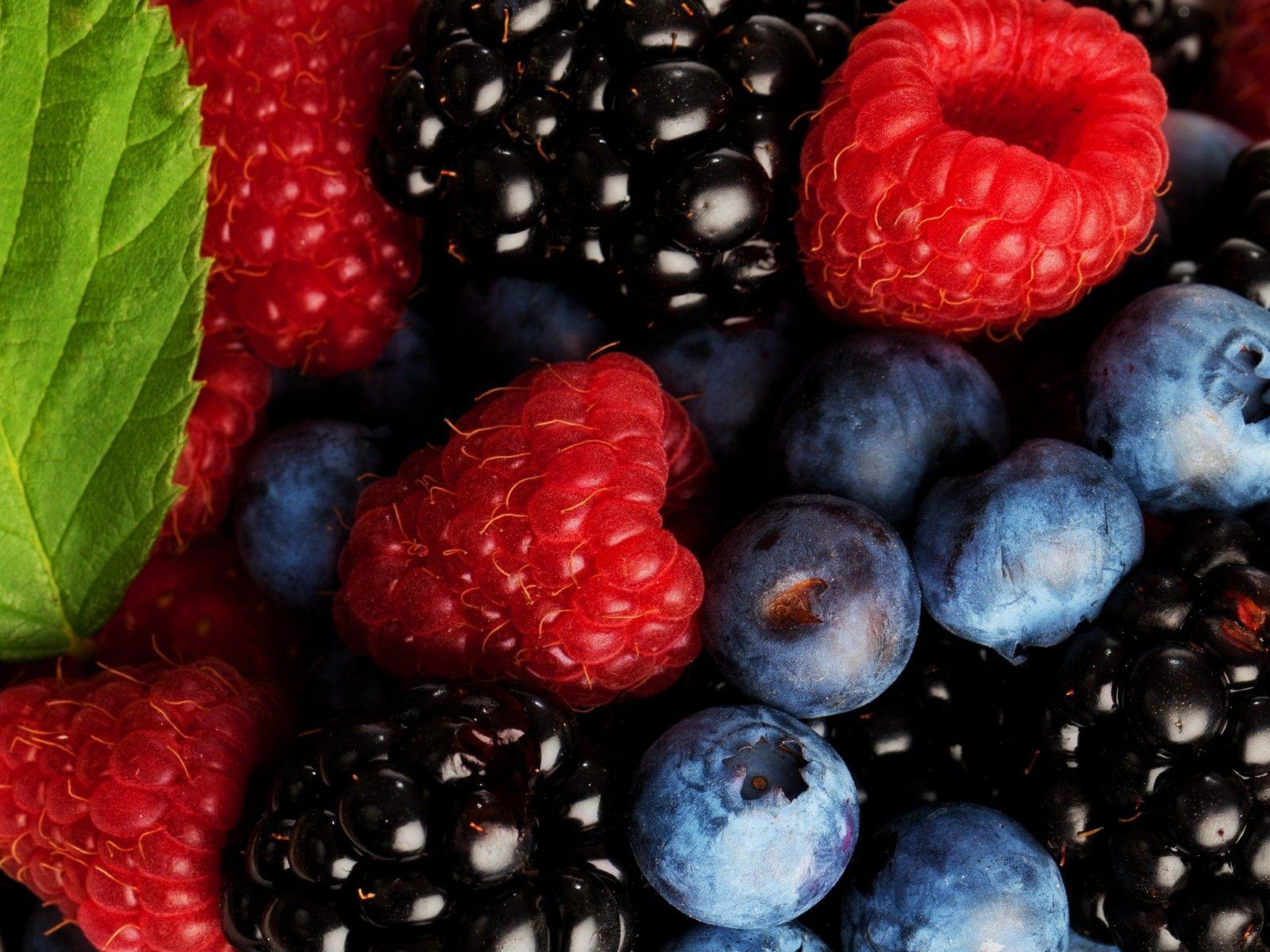 Berries Wallpapers Wallpaper Cave
