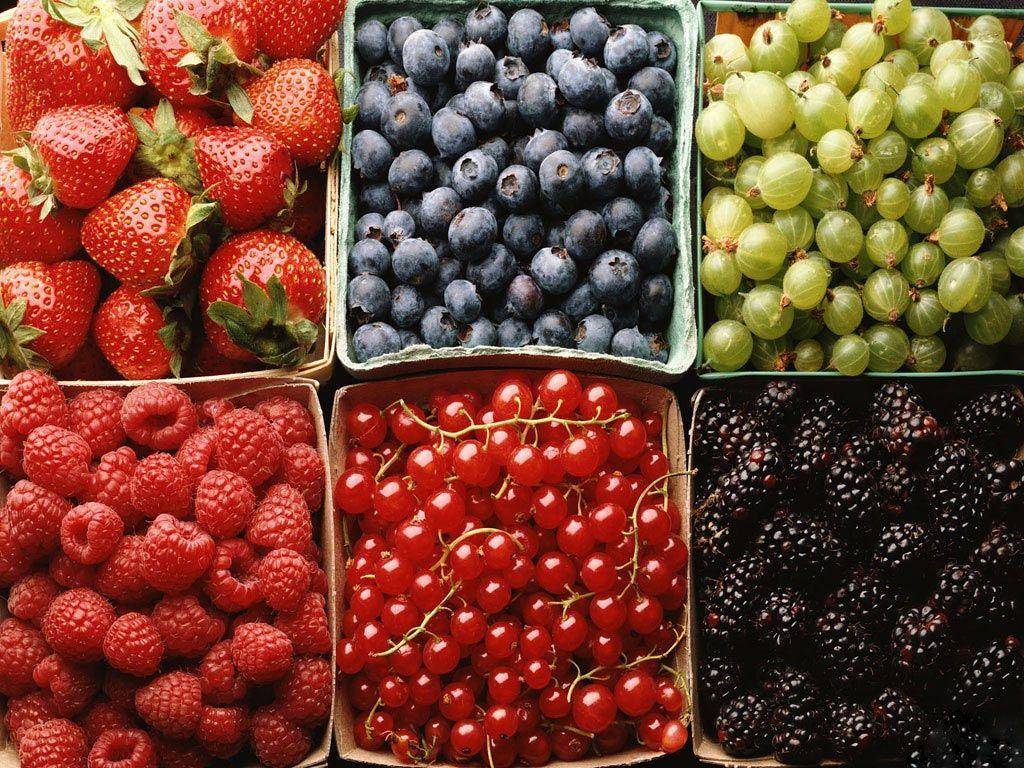 Berries Wallpapers Wallpaper Cave