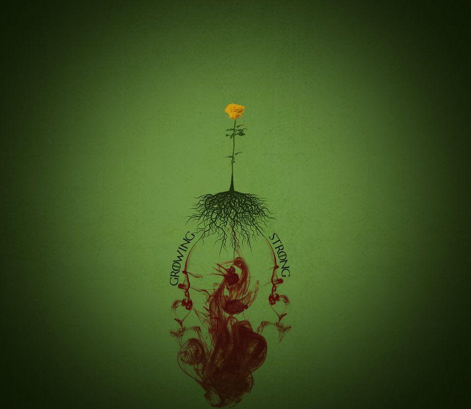 House Tyrell Wallpapers Wallpaper Cave