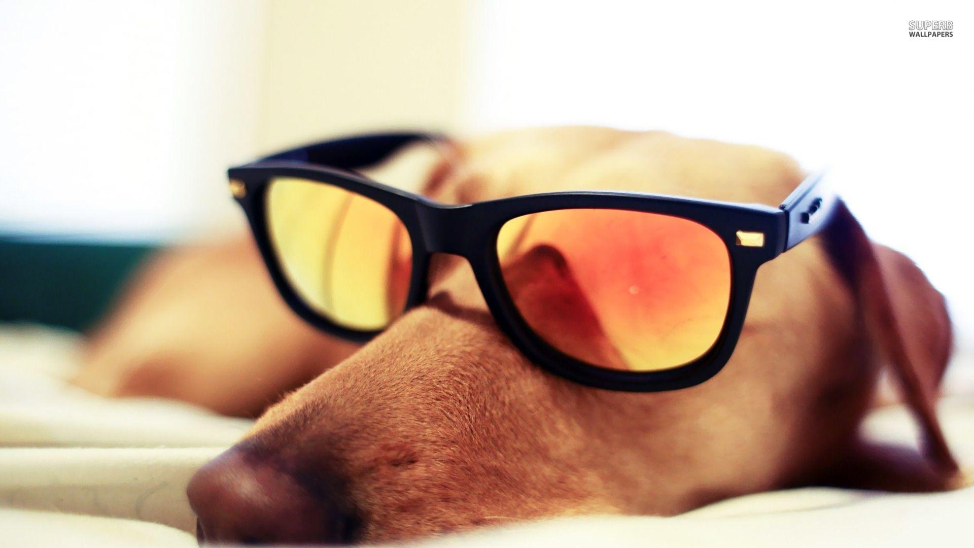 Sunglasses Wallpapers Wallpaper Cave