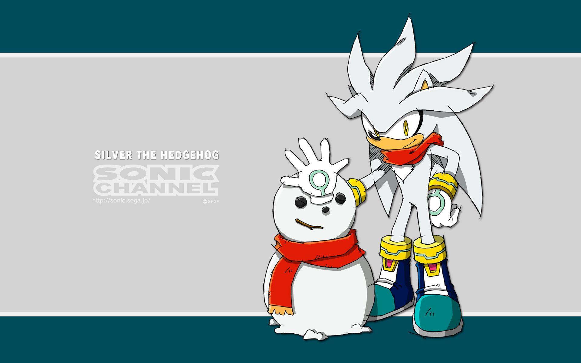 Silver The Hedgehog Wallpapers Wallpaper Cave