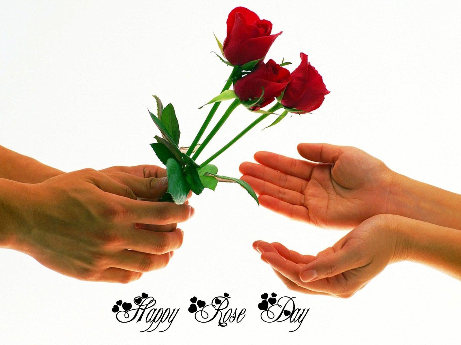 Beautiful Rose Day Images Free Download Happy Rose Day 2016 Best Rose