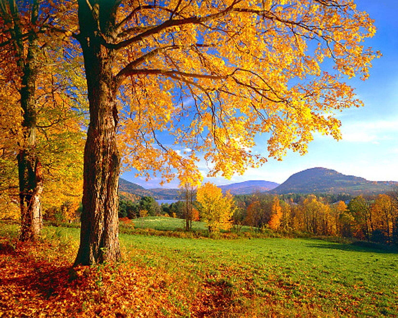 Vermont Wallpapers Wallpaper Cave