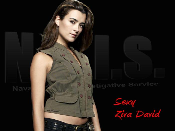 Cote de pablo net worth 2024
