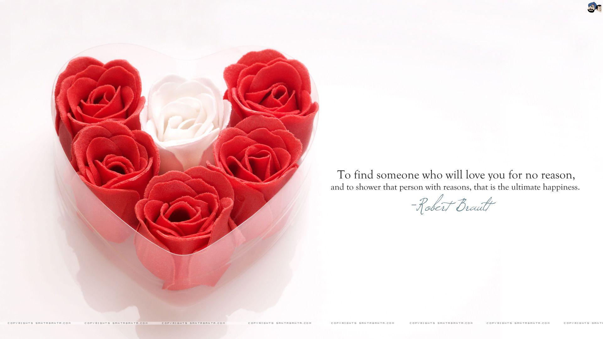 Valentine Flower Quotes Wallpapers Wallpaper Cave