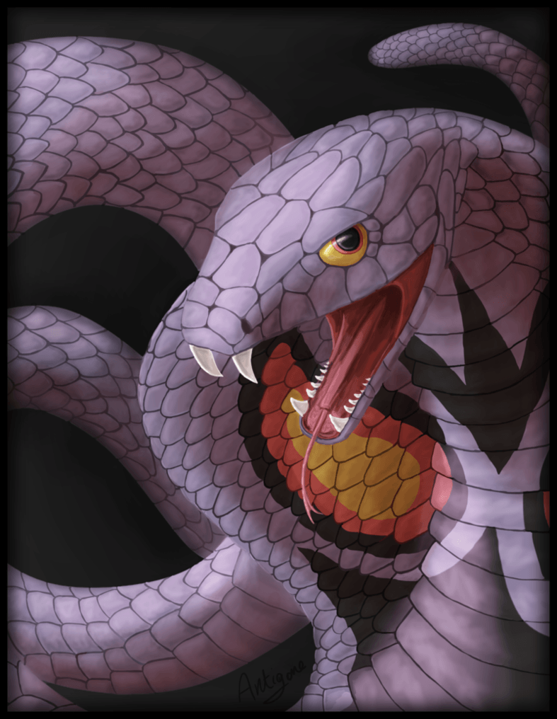 Arbok HD Wallpapers Wallpaper Cave