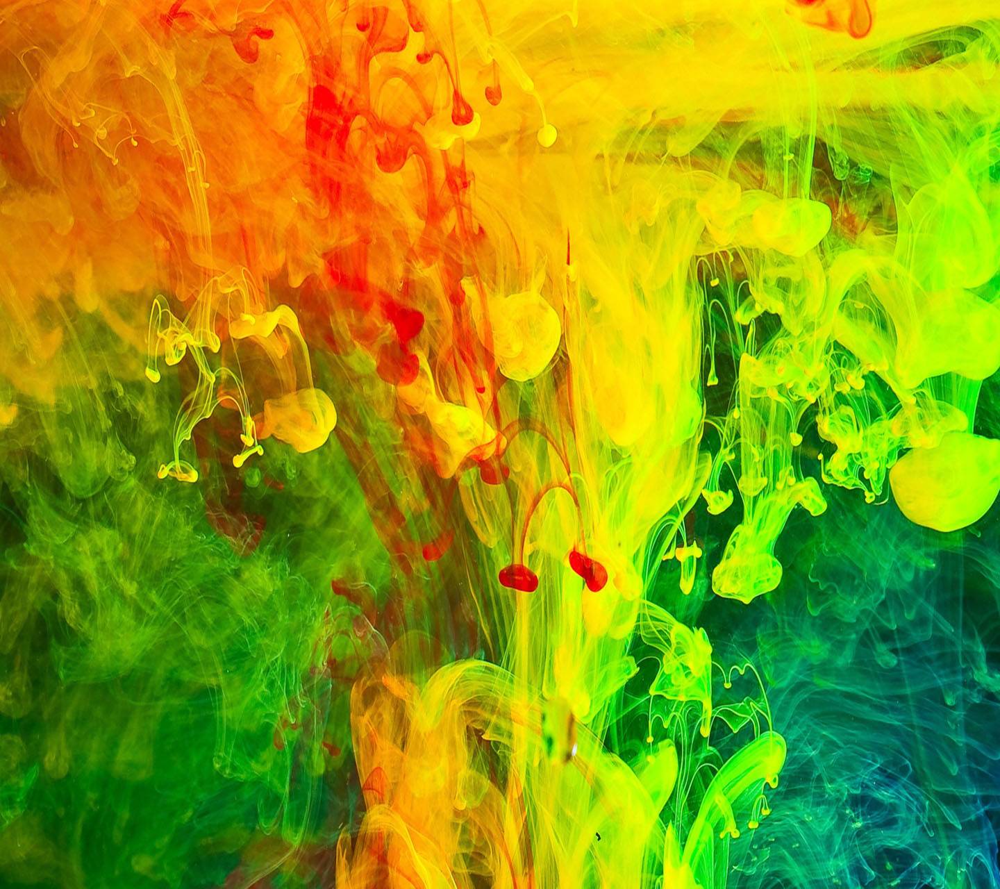Holi Festival Wallpapers Wallpaper Cave