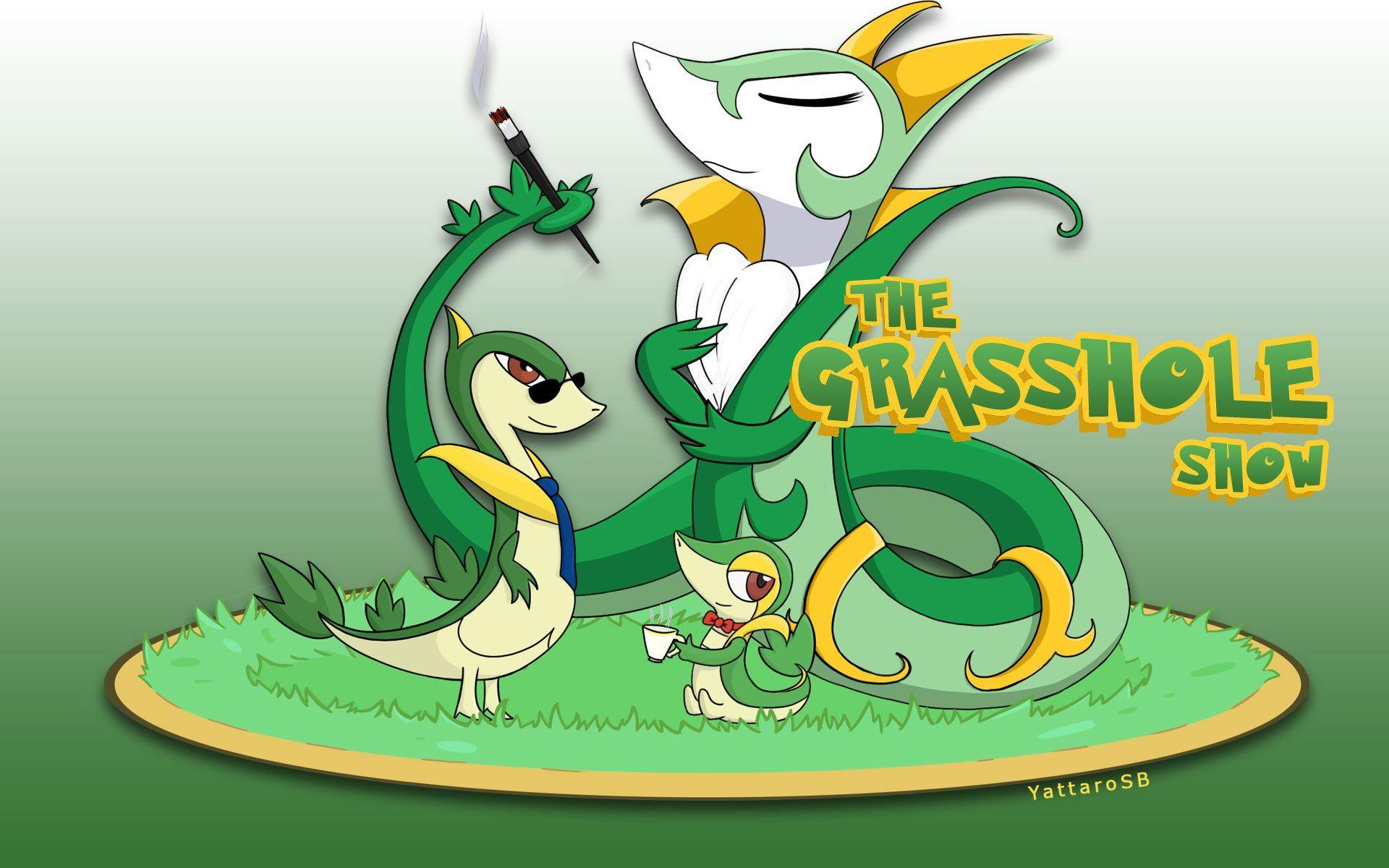 Serperior Wallpapers Wallpaper Cave