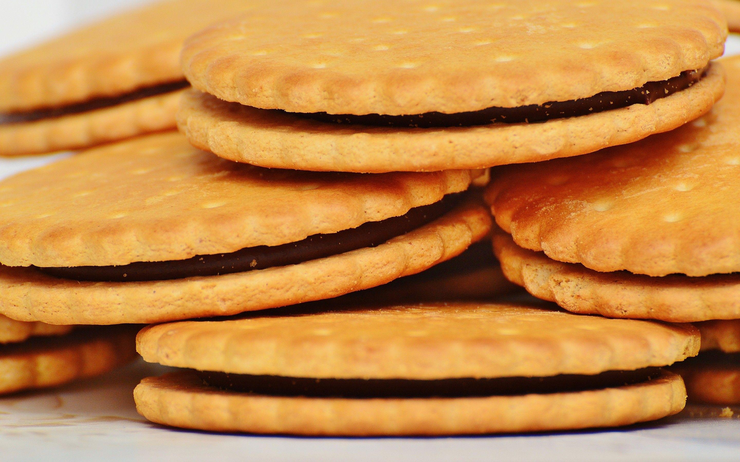 Biscuit Wallpapers Wallpaper Cave