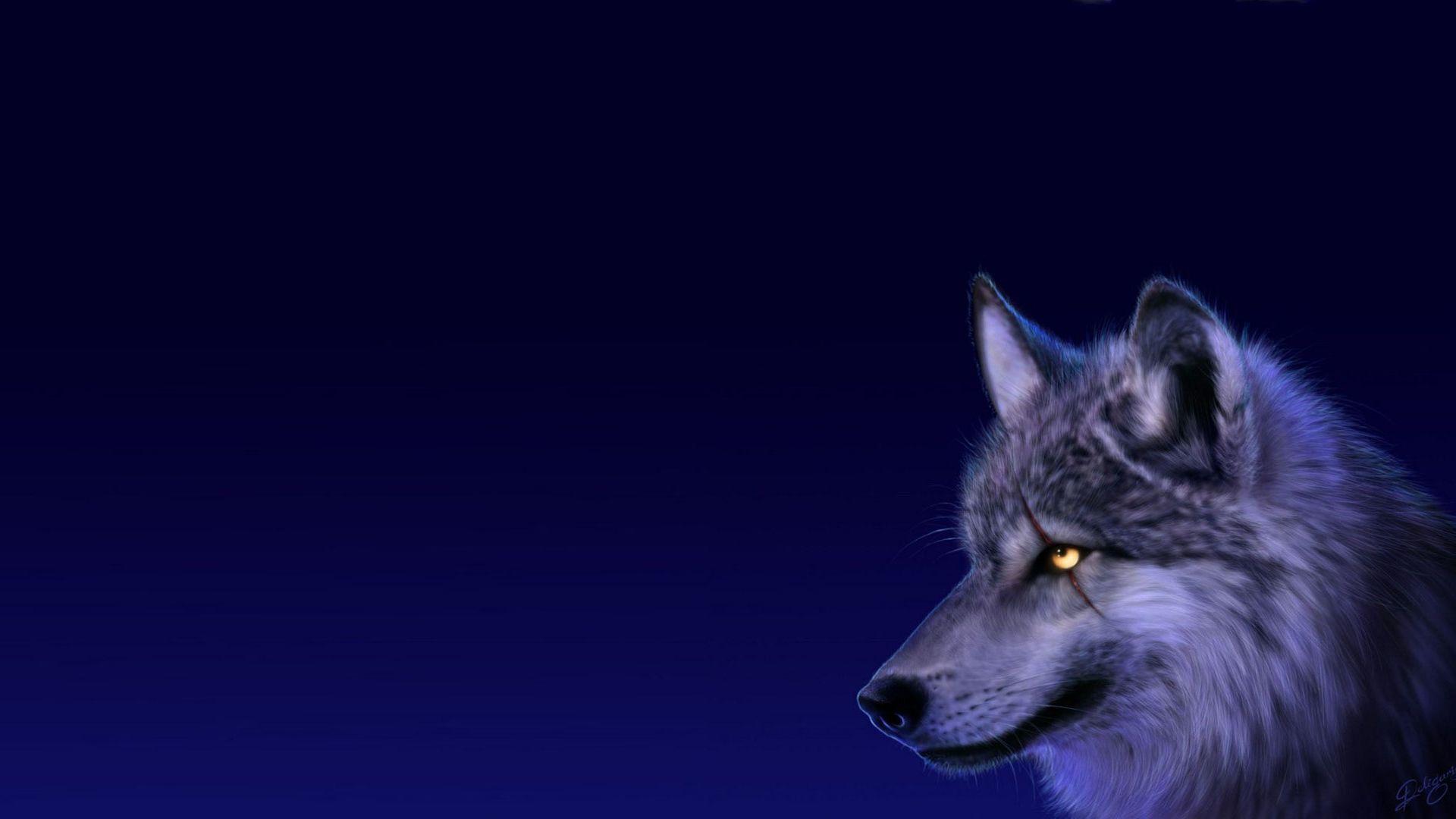 Anime Wolves Wallpapers Wallpaper Cave